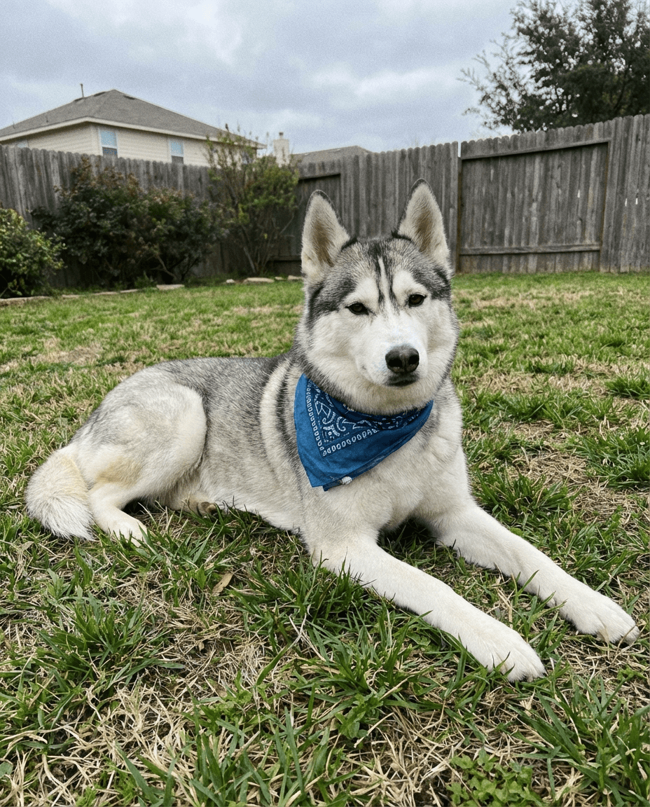 Luna