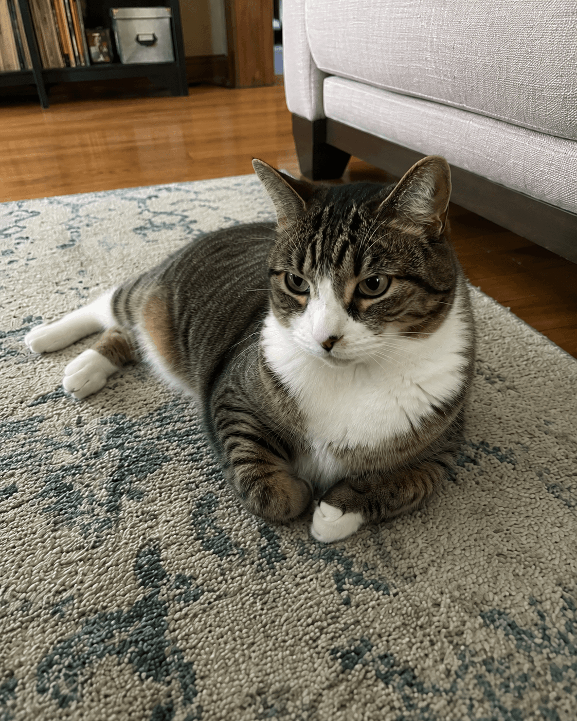 Luna
