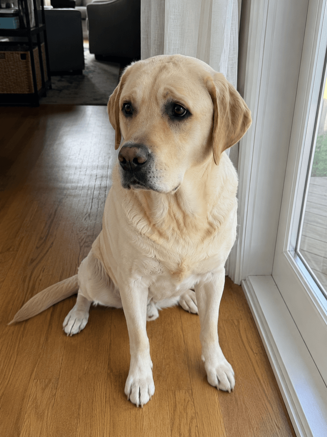Max