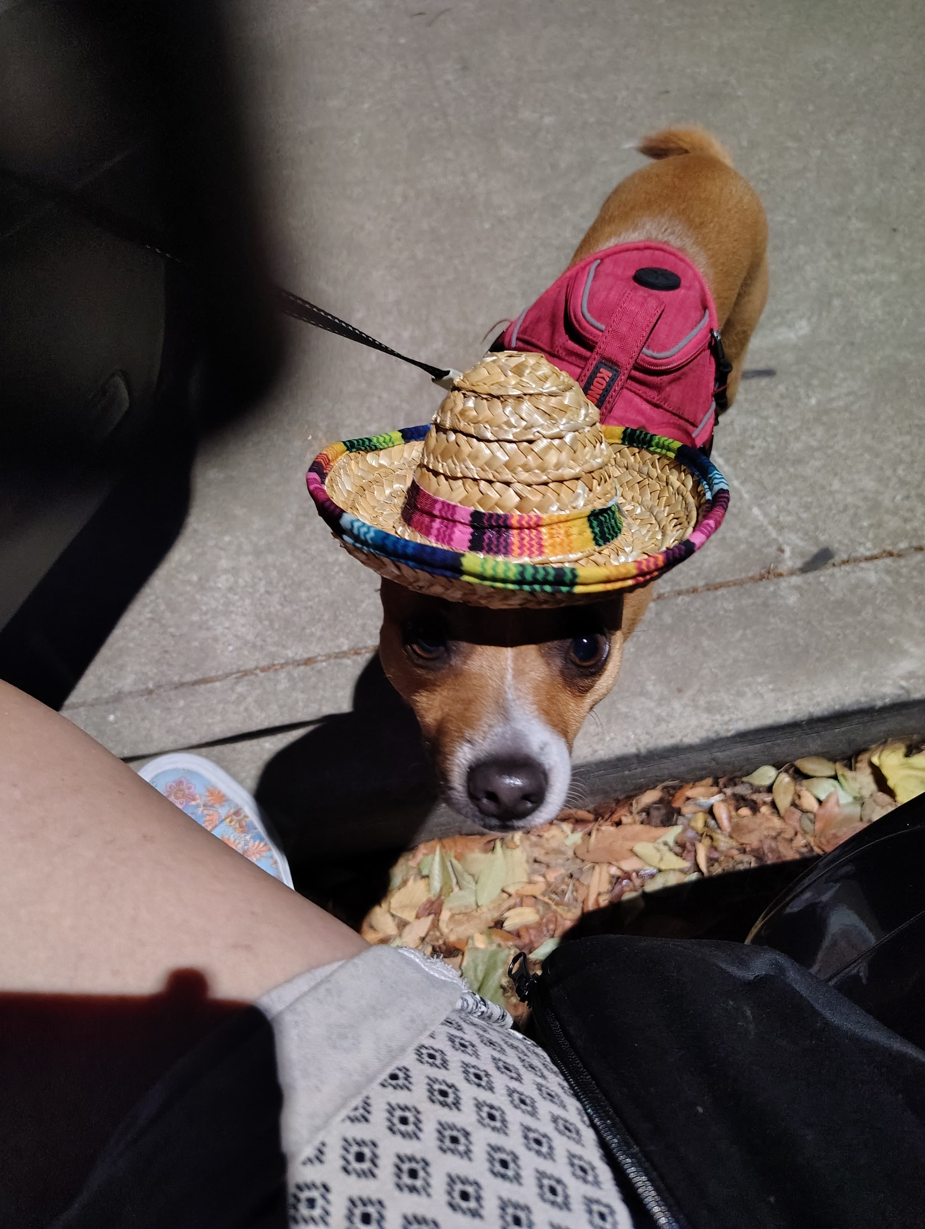 Cinco