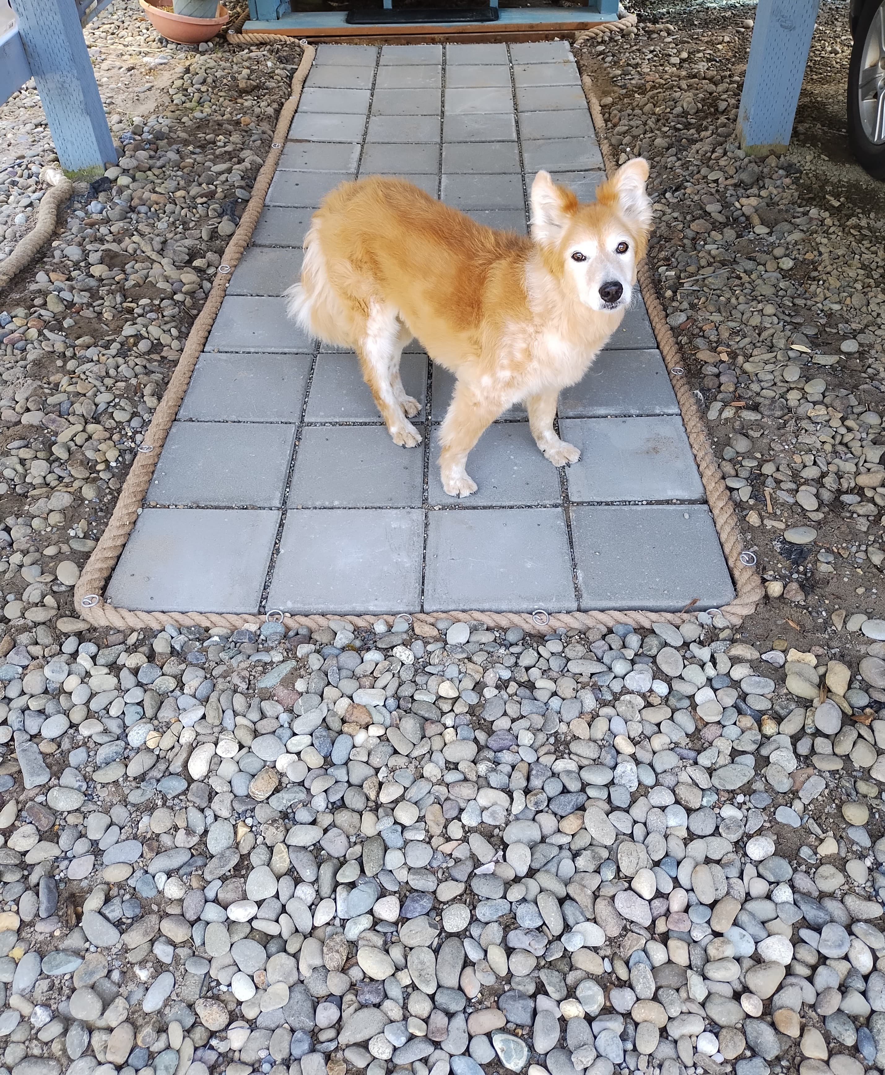 Archie