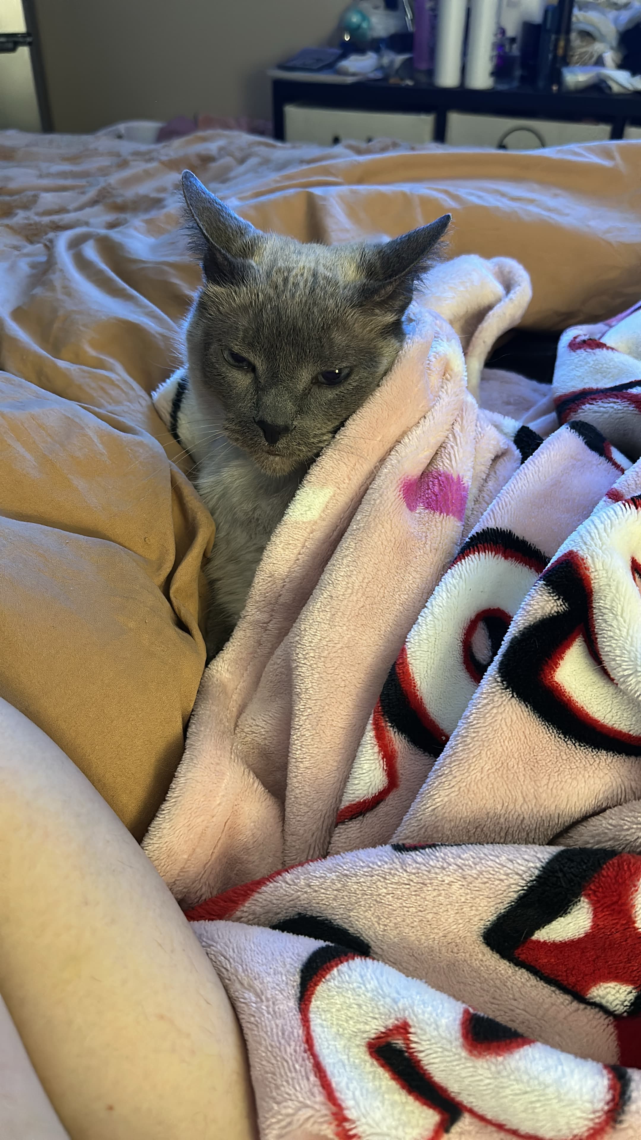 Gizmo