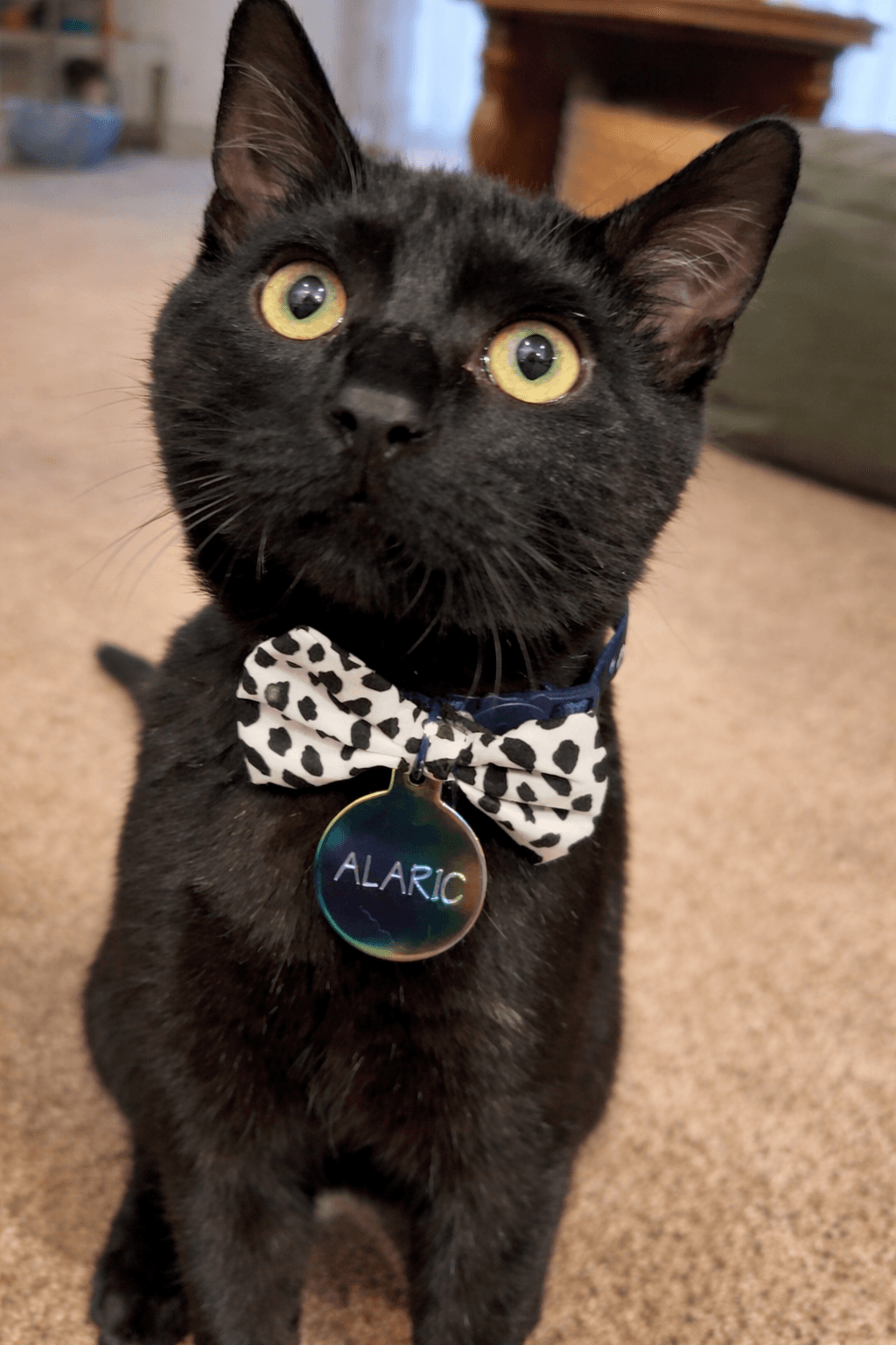 Alaric