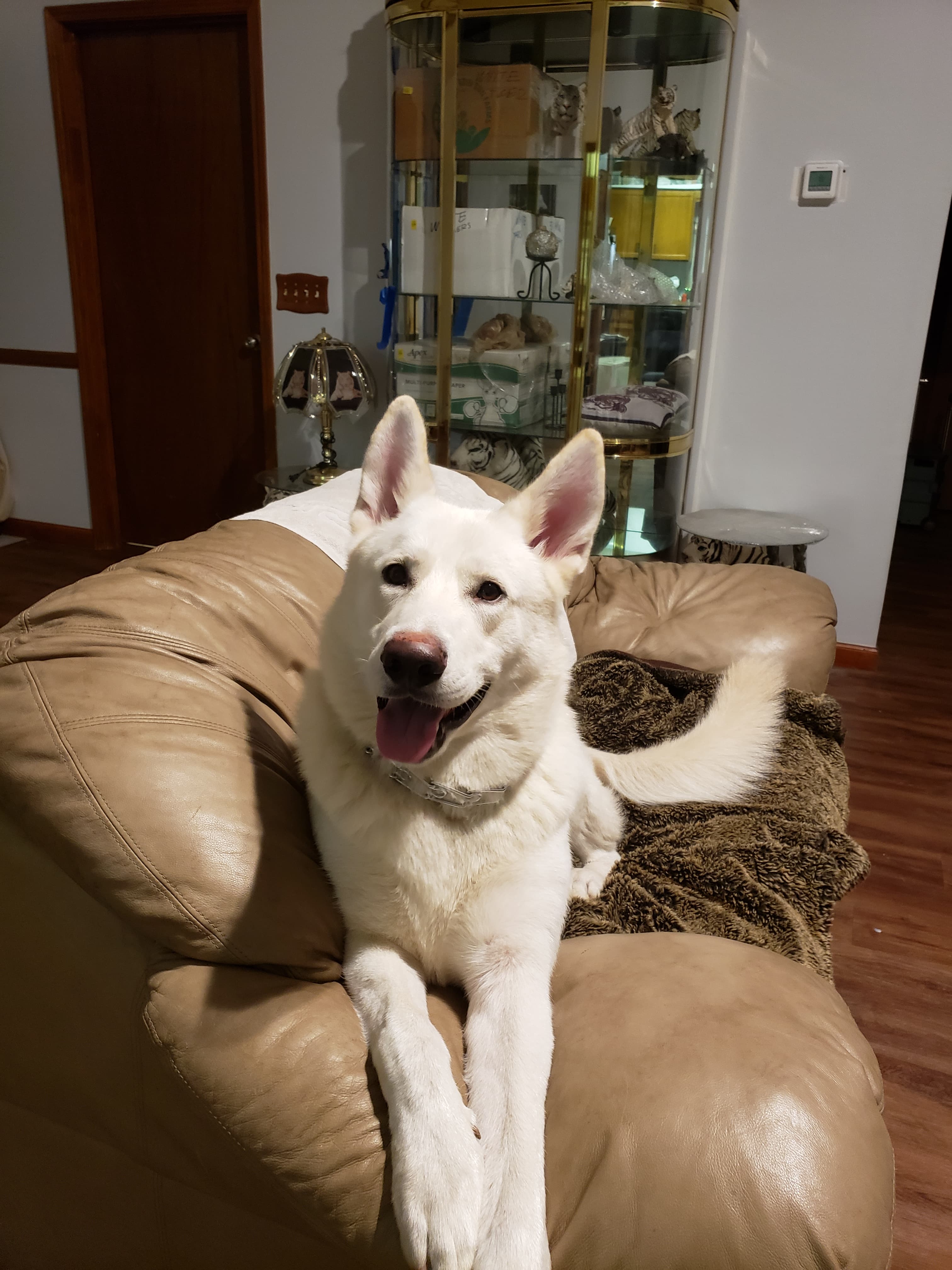 Atlas