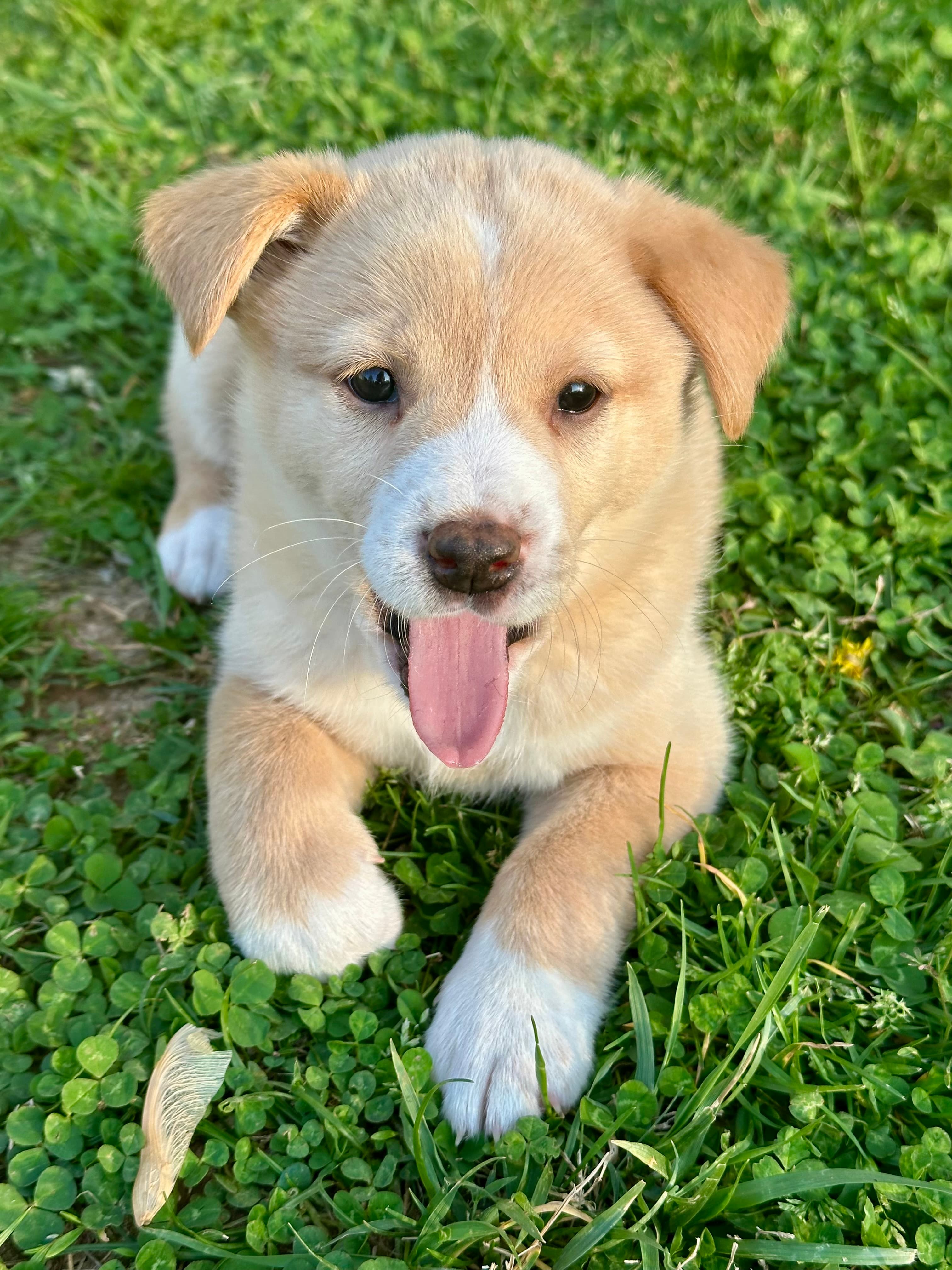 Luna