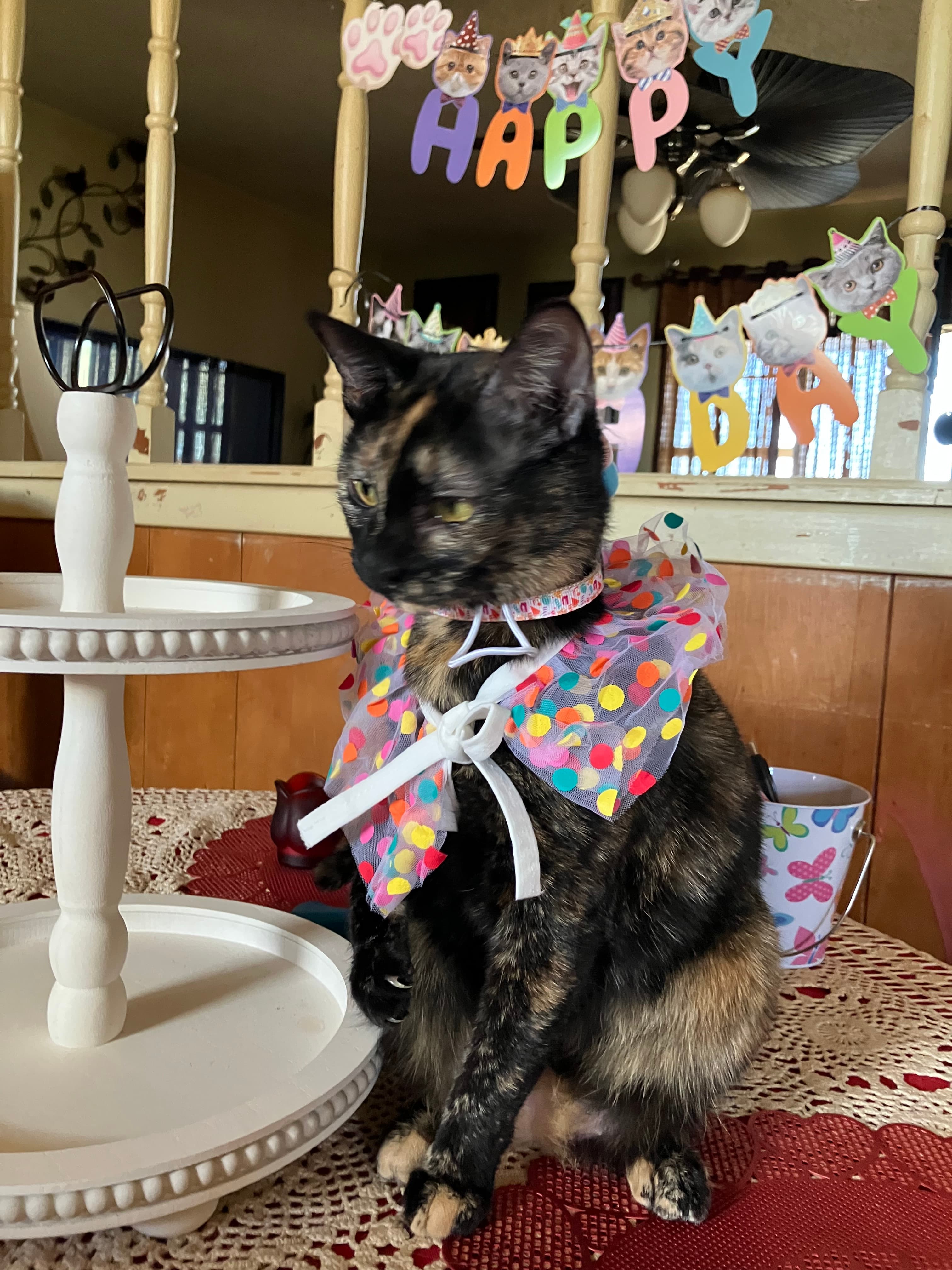 Sophie