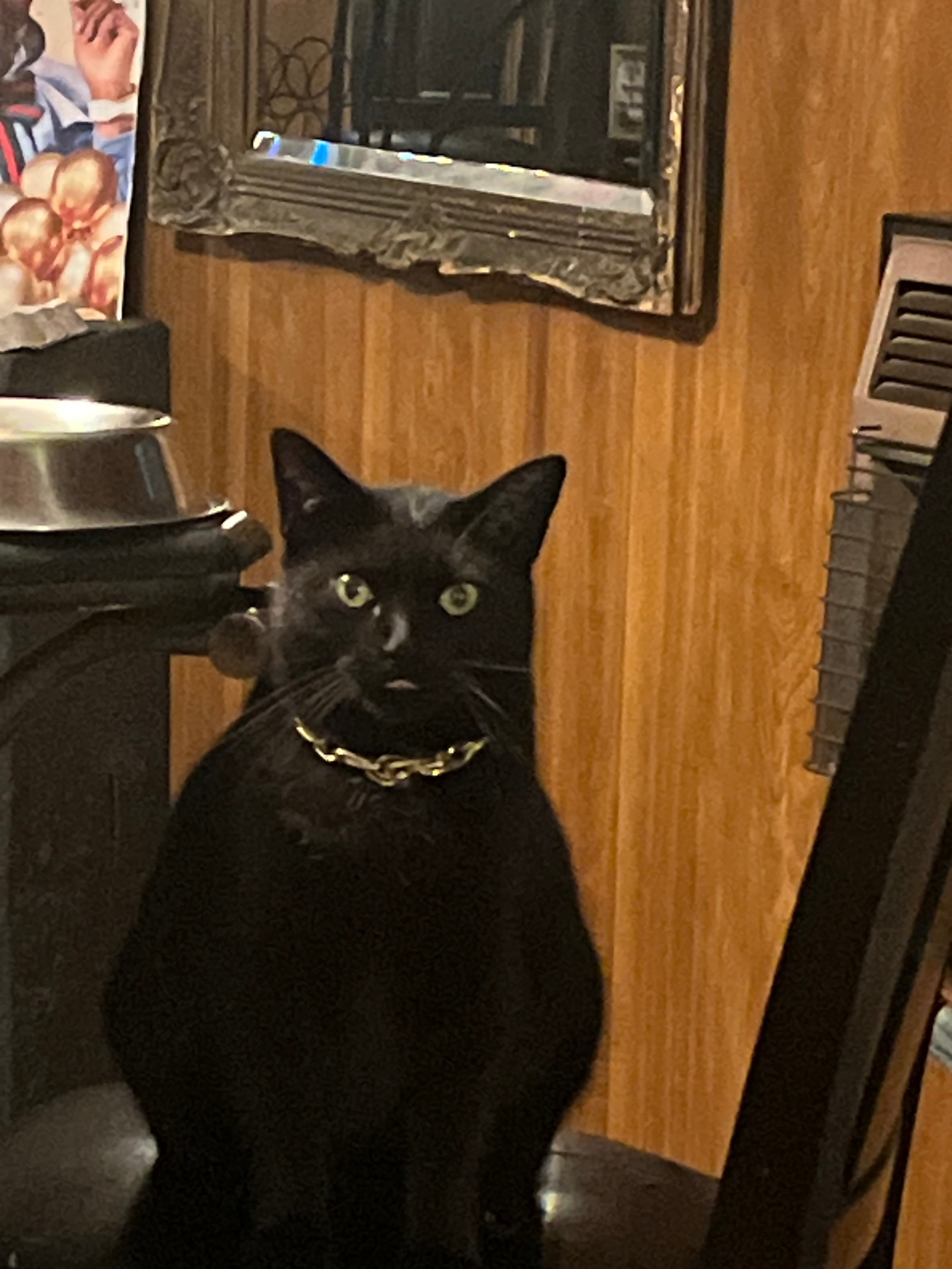Blacasgirl