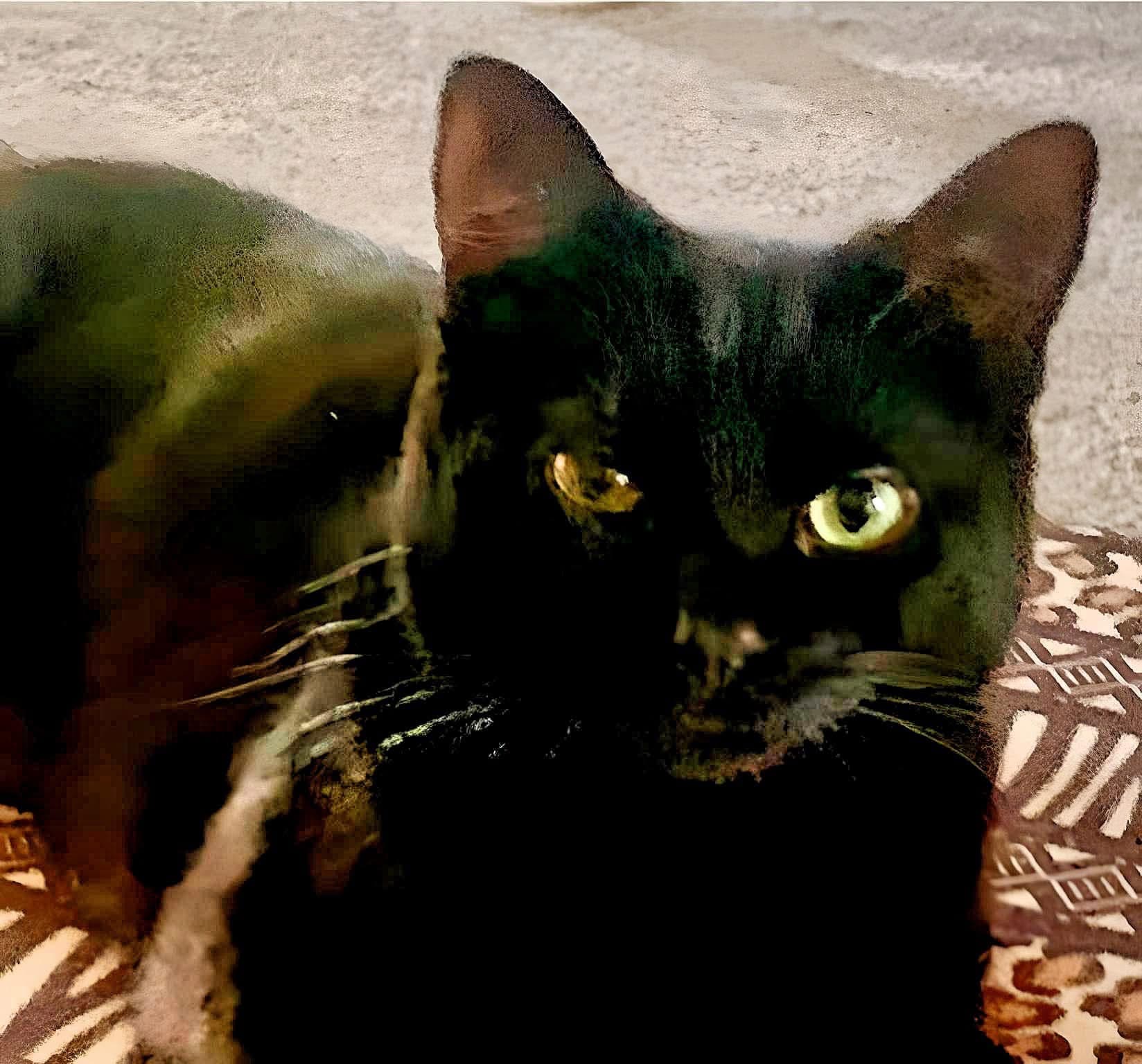Bijoux