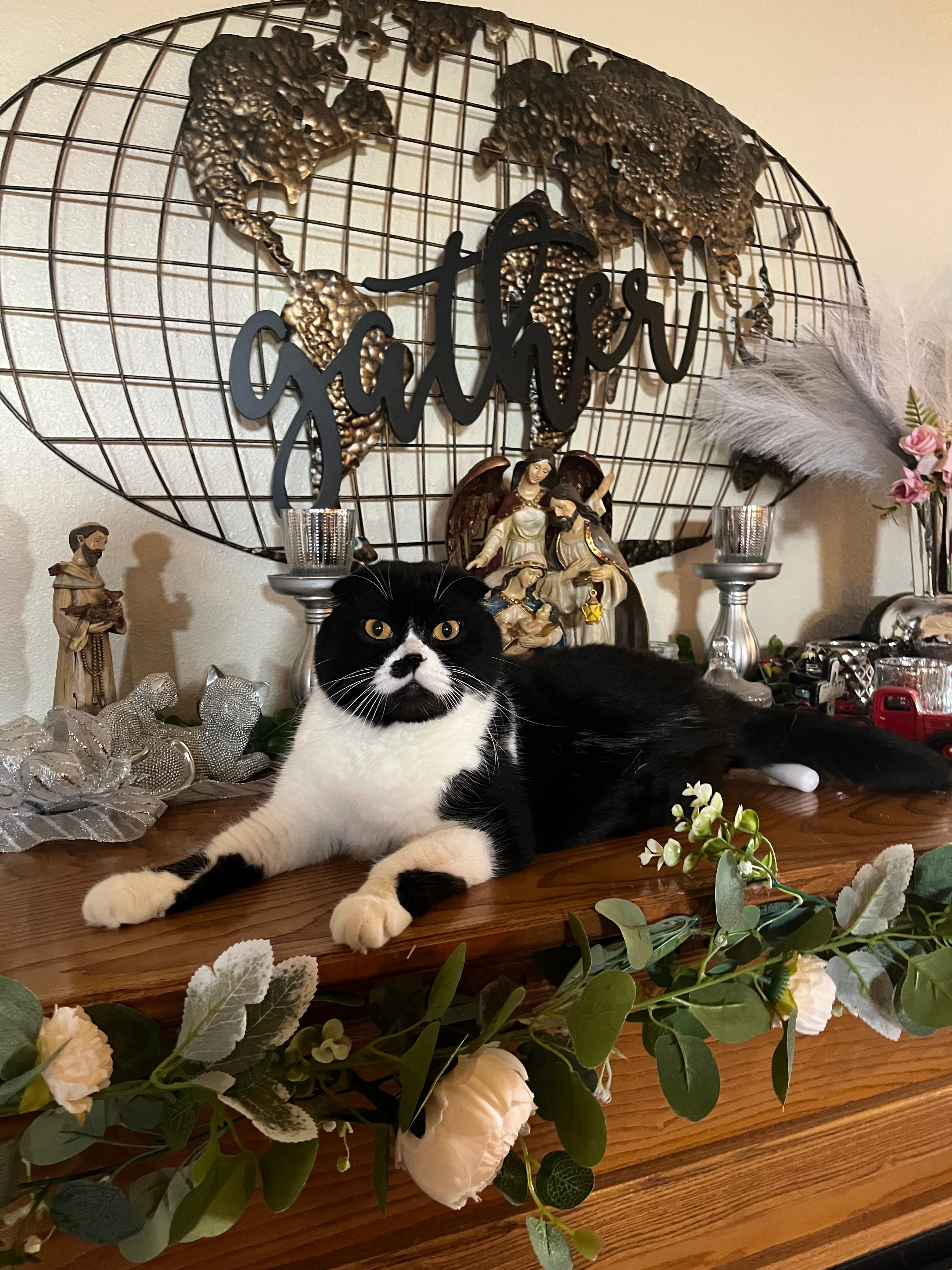 Tuxedo