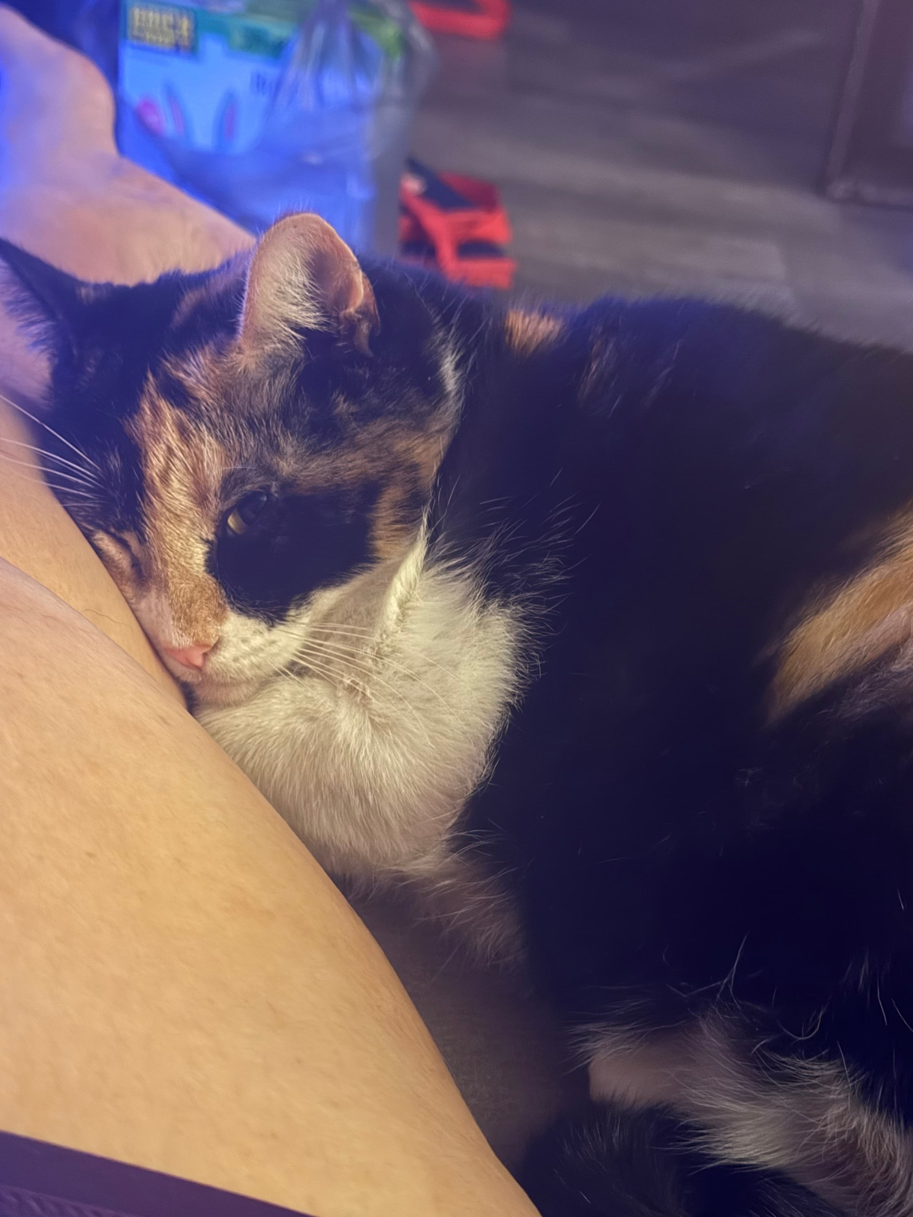 Kali