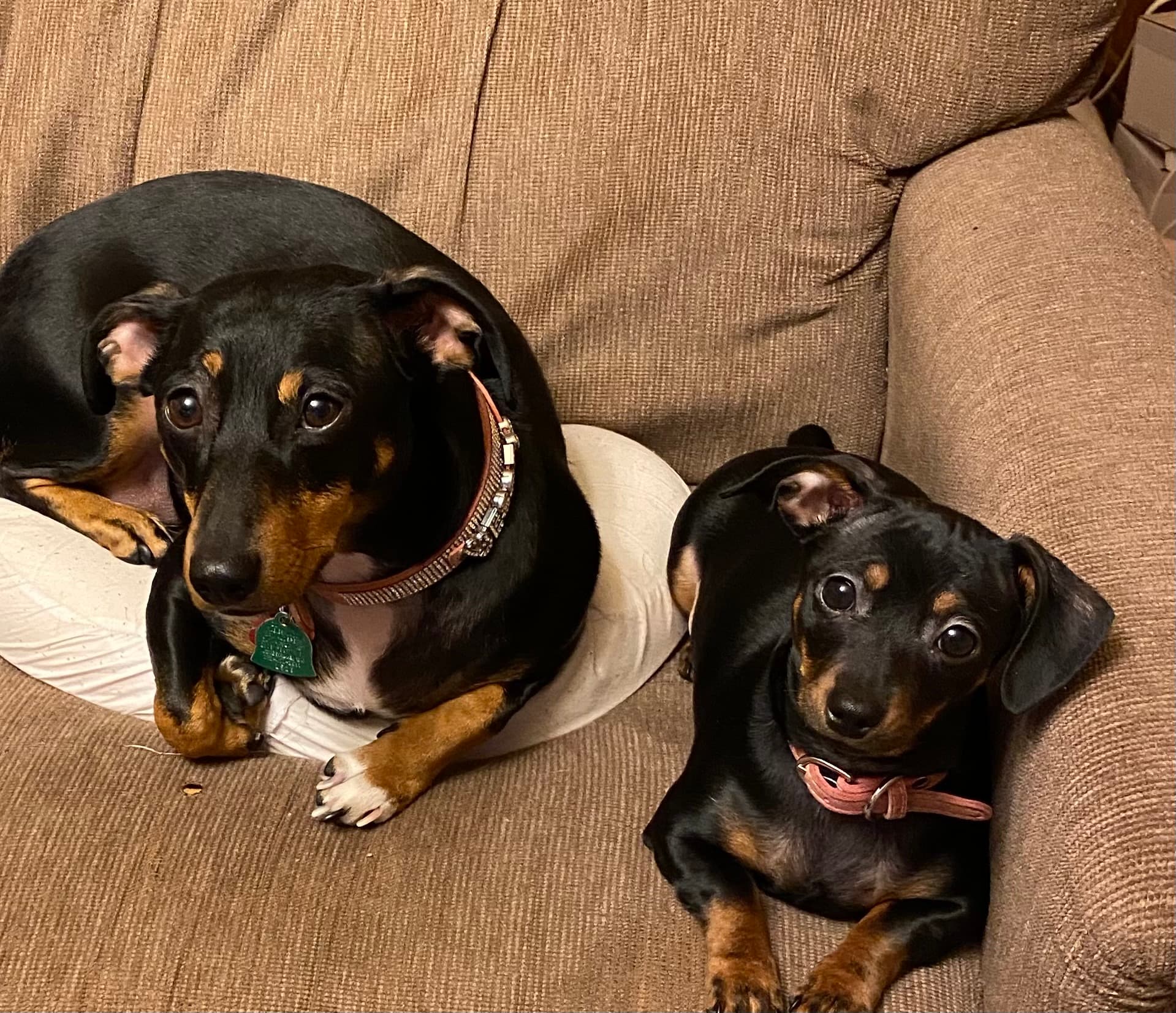 Jesse & Izzy