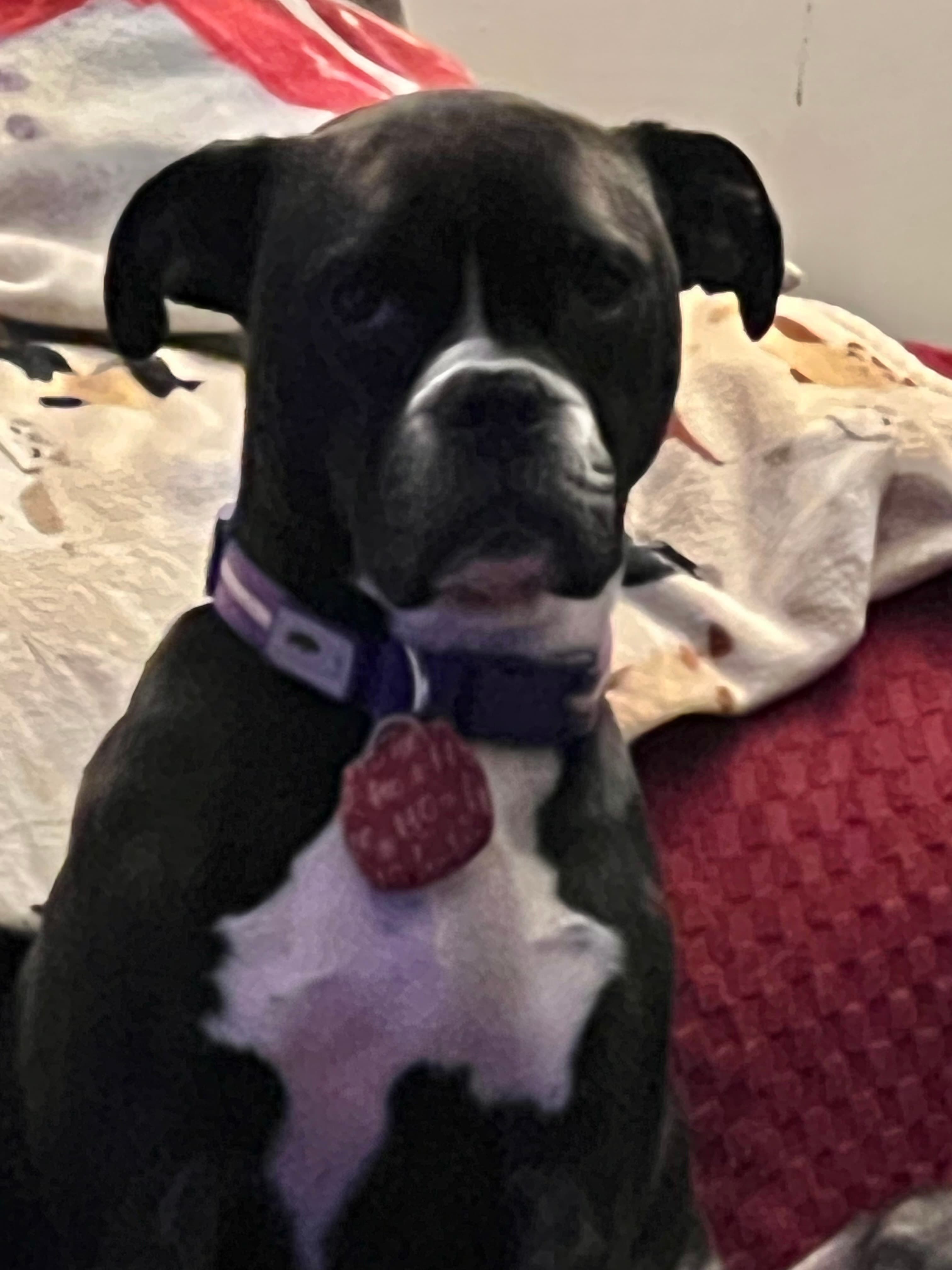 Diesel