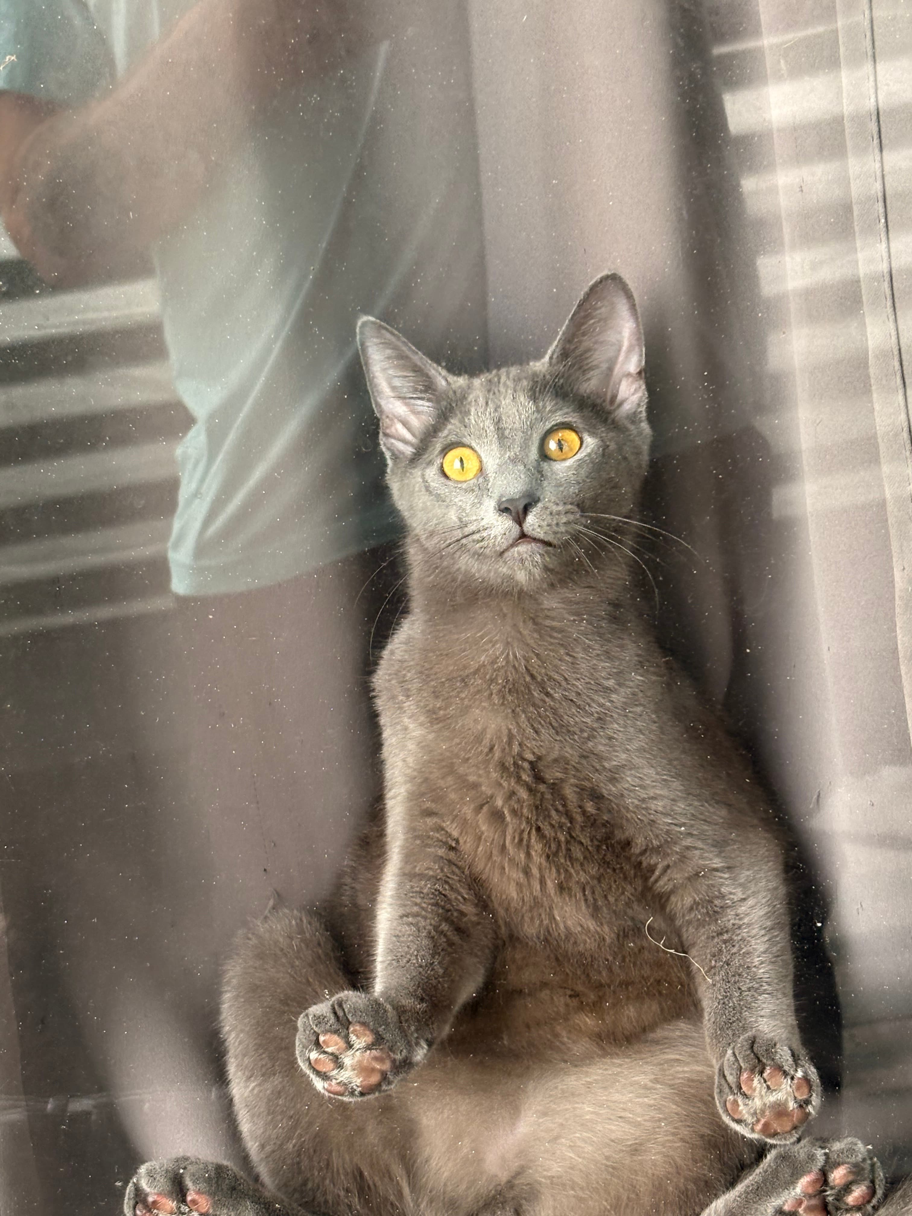 Bo