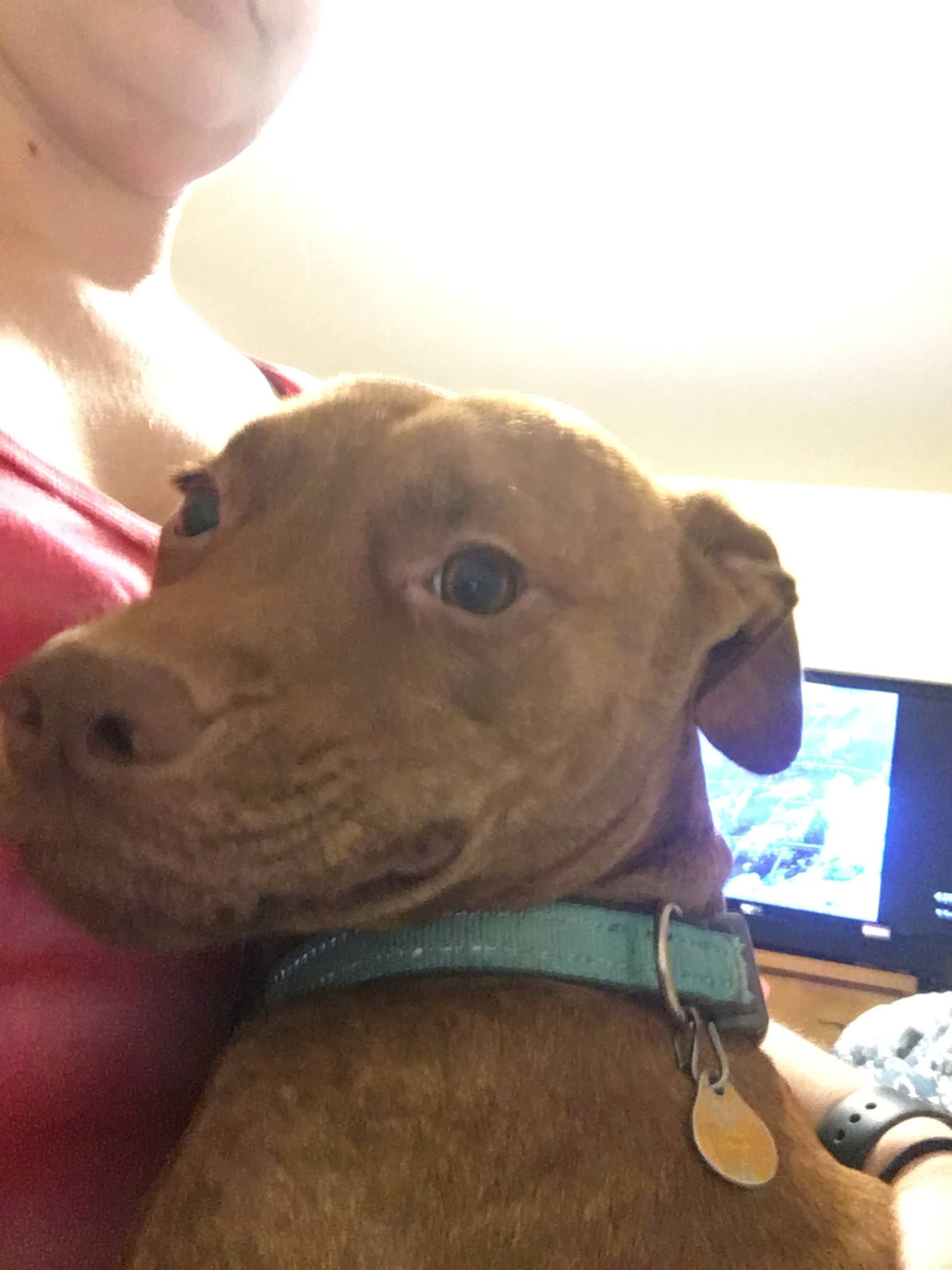 Axel