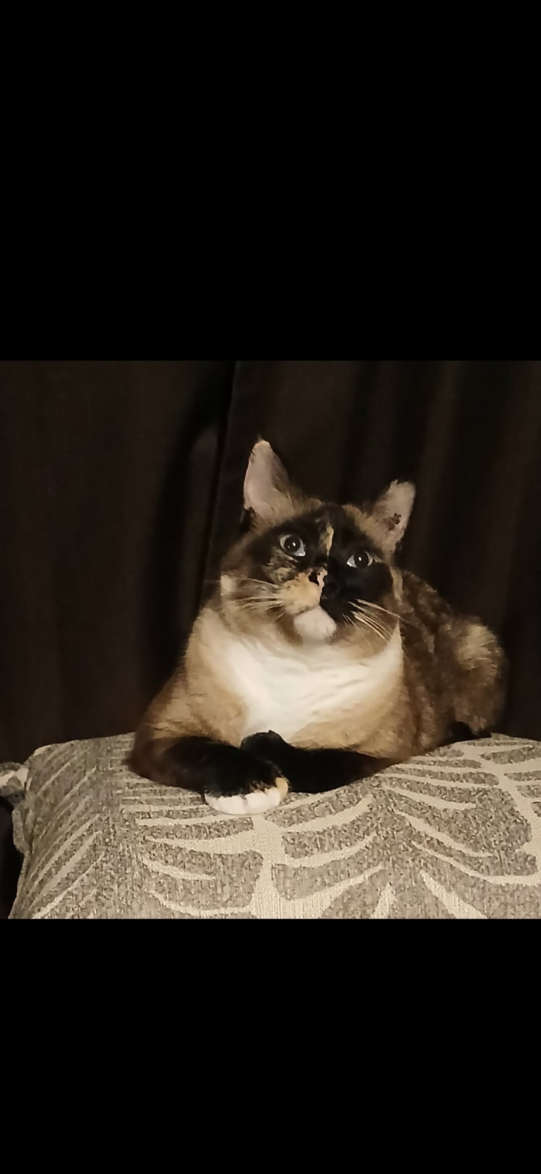 Doja