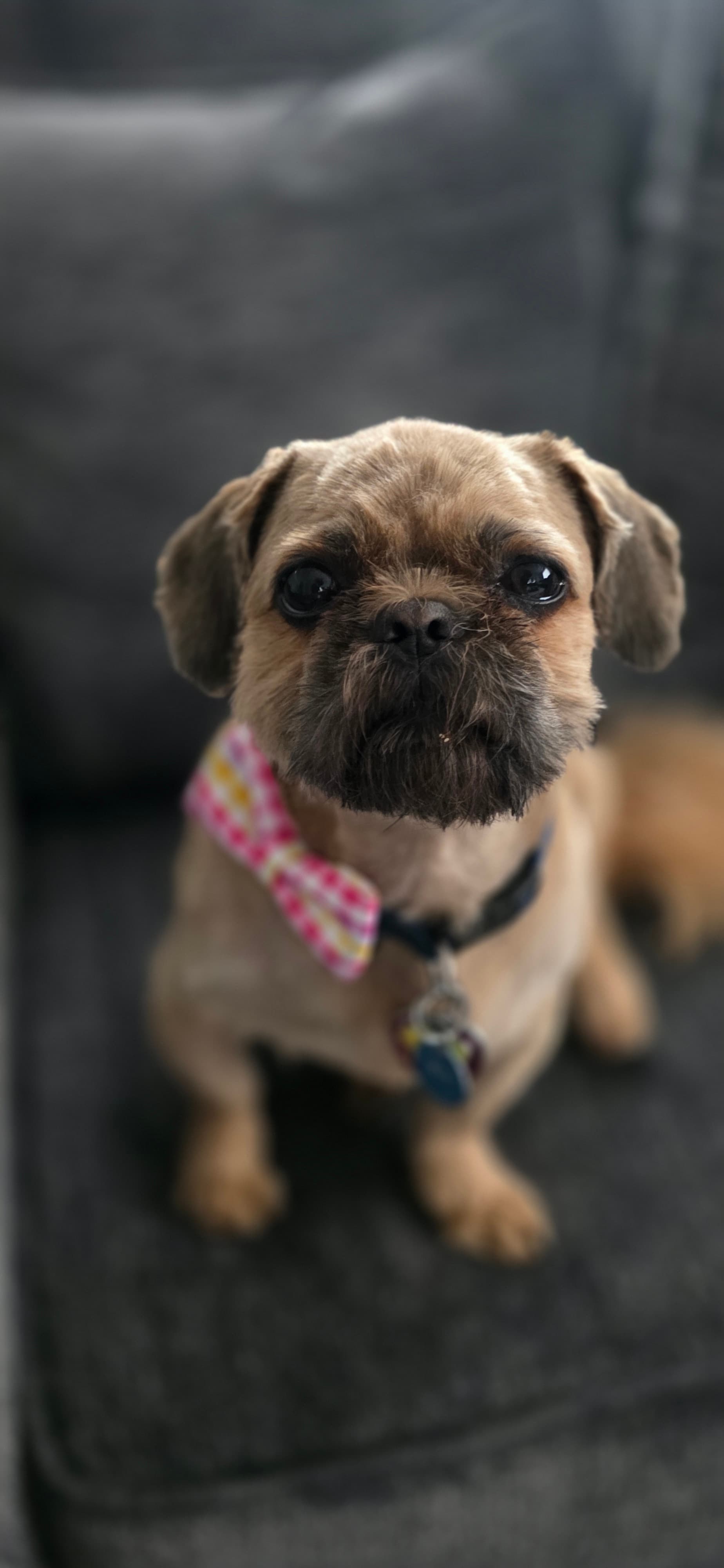 Oscar