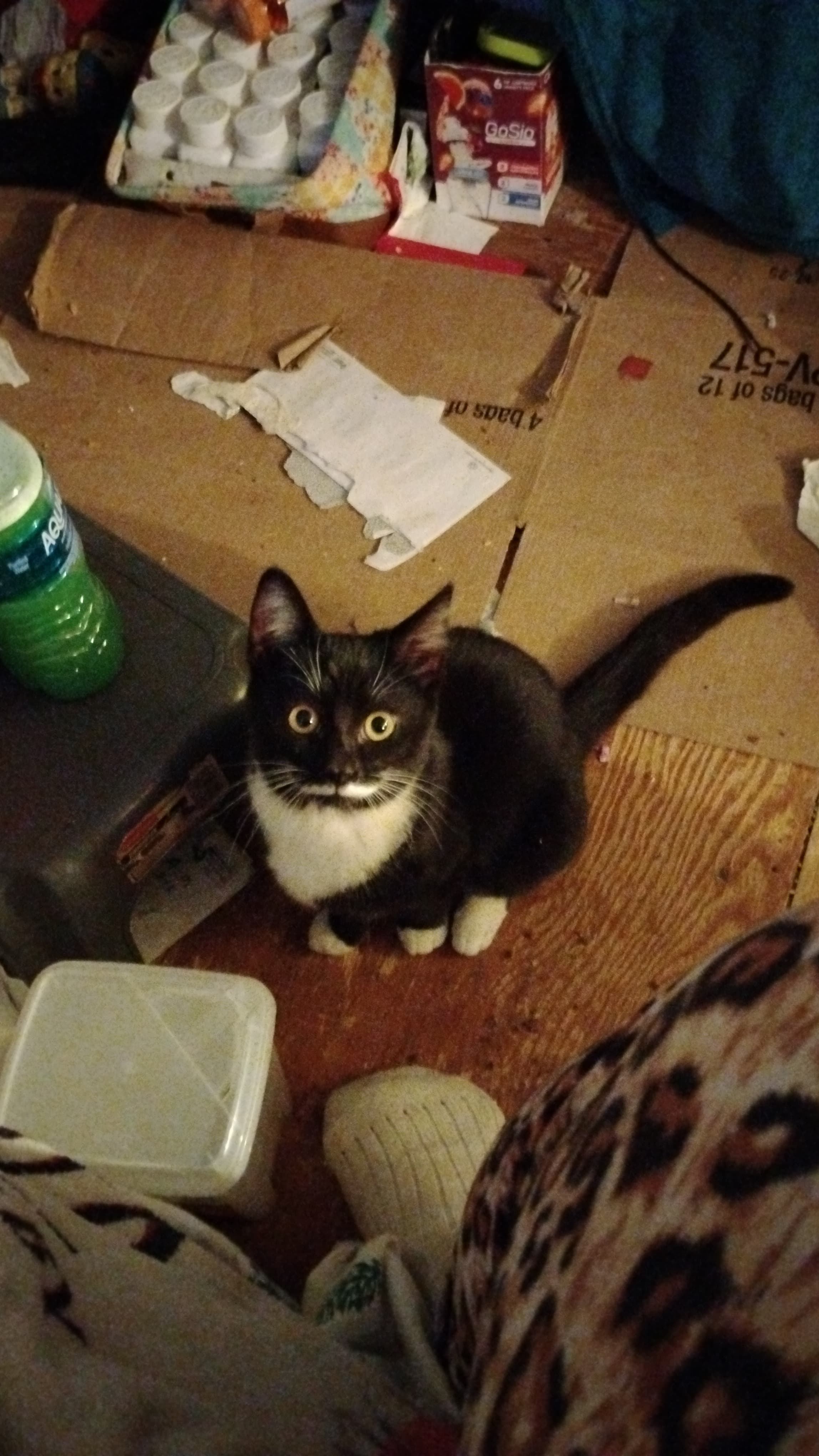 Luna