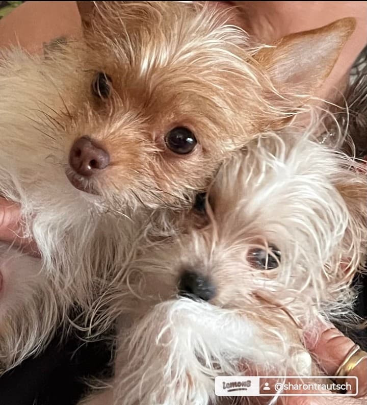 Fritzy & Quentin