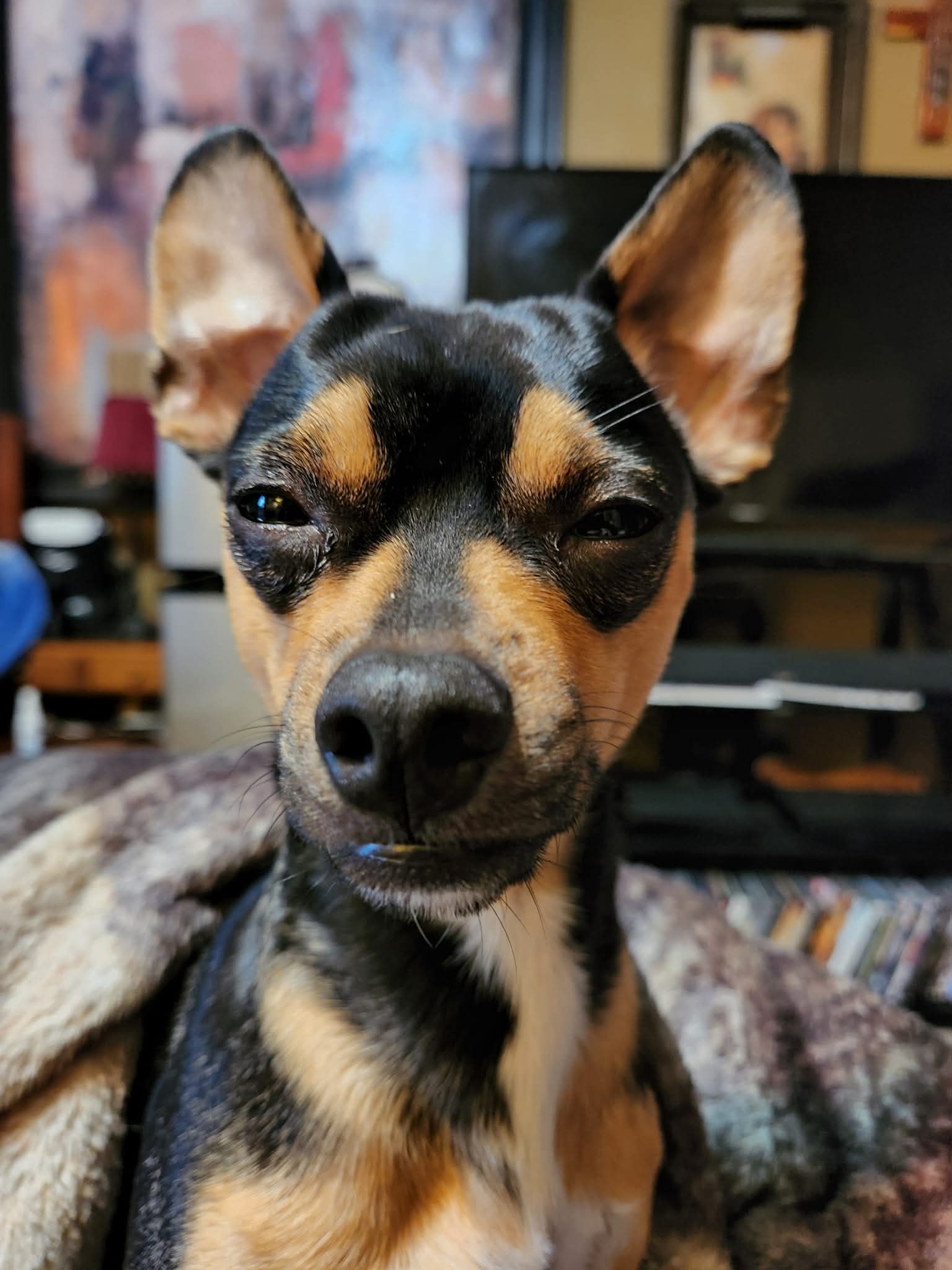Pepper