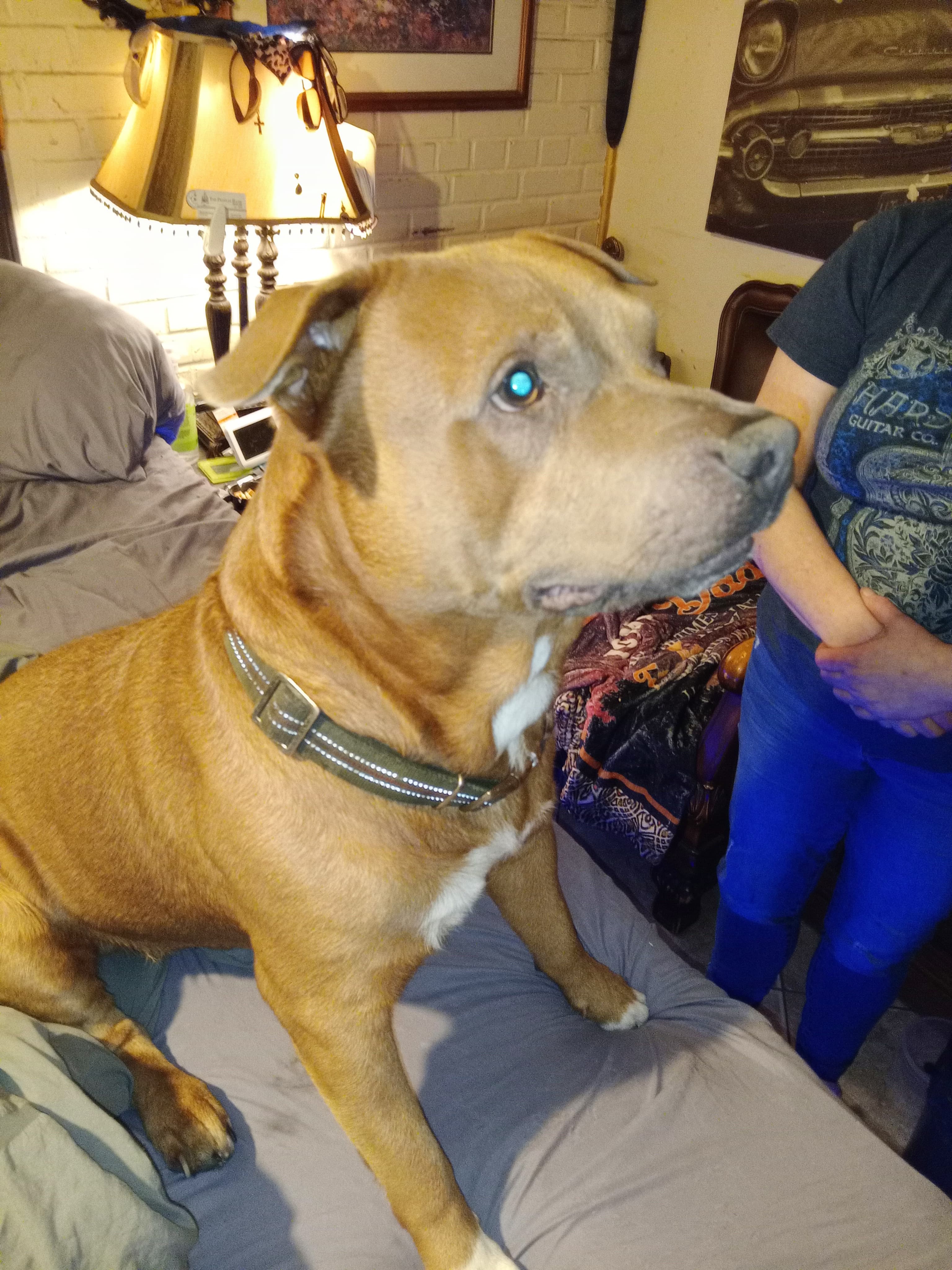 Benny