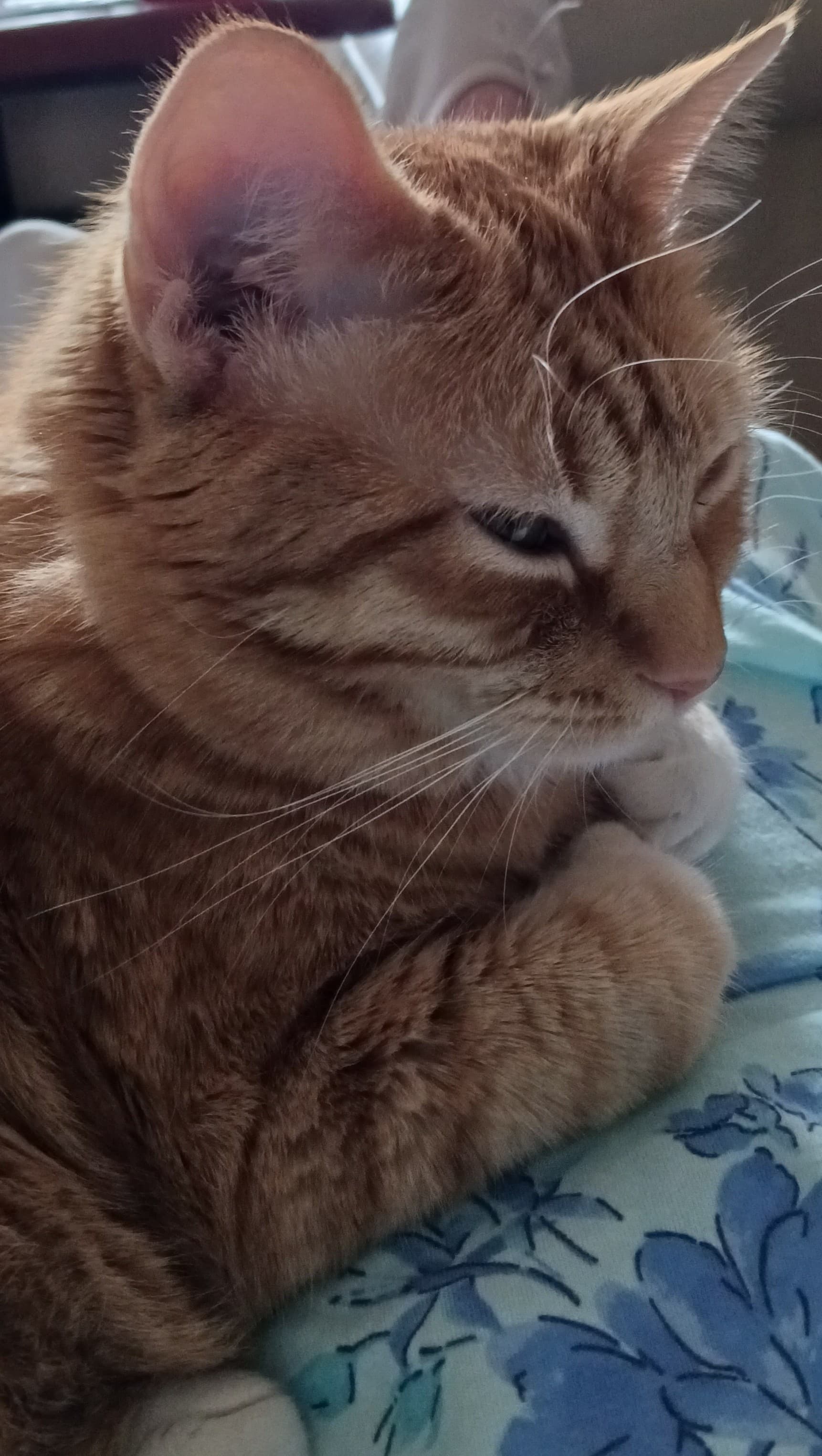 Markitty