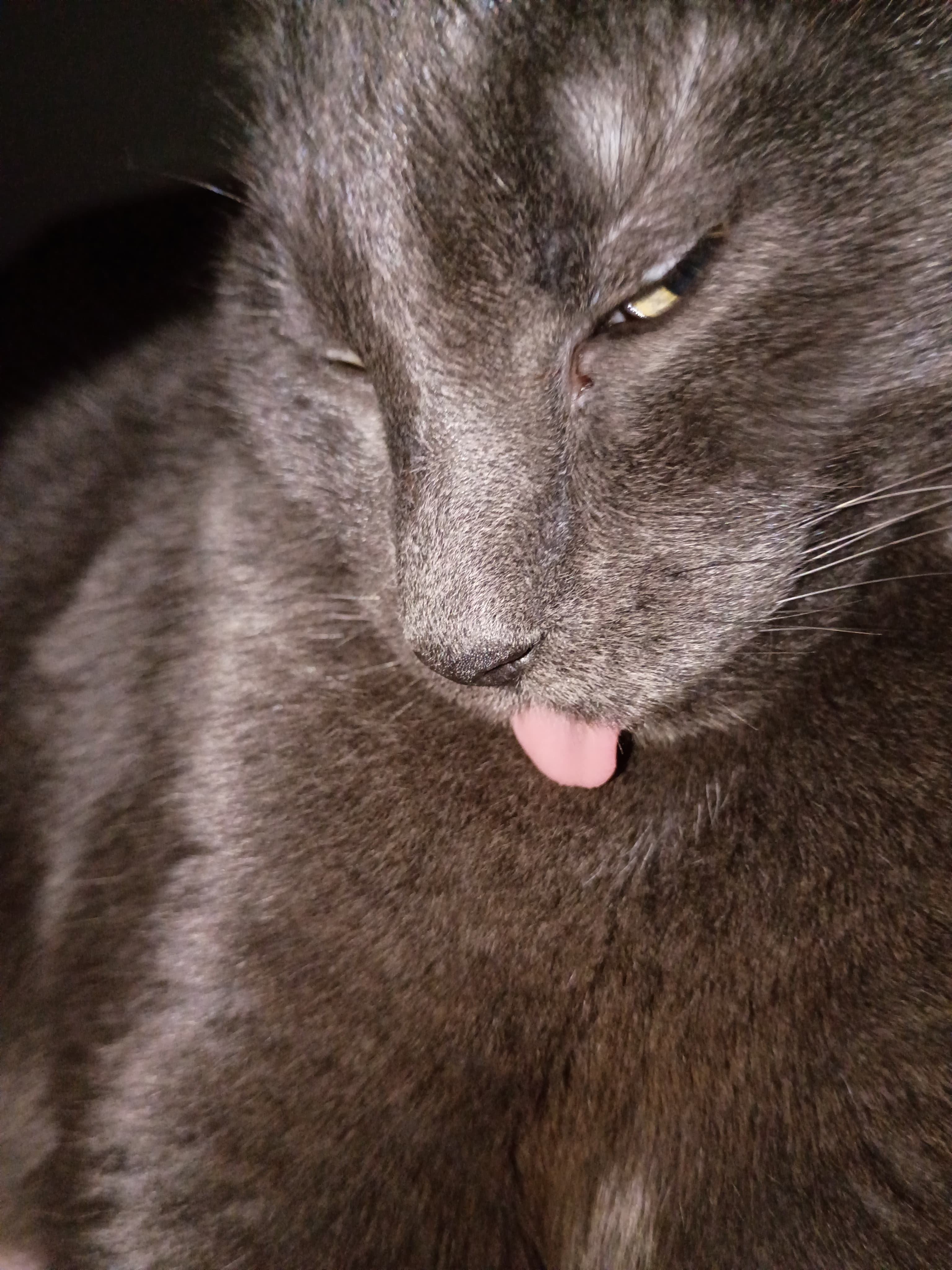 Smokey