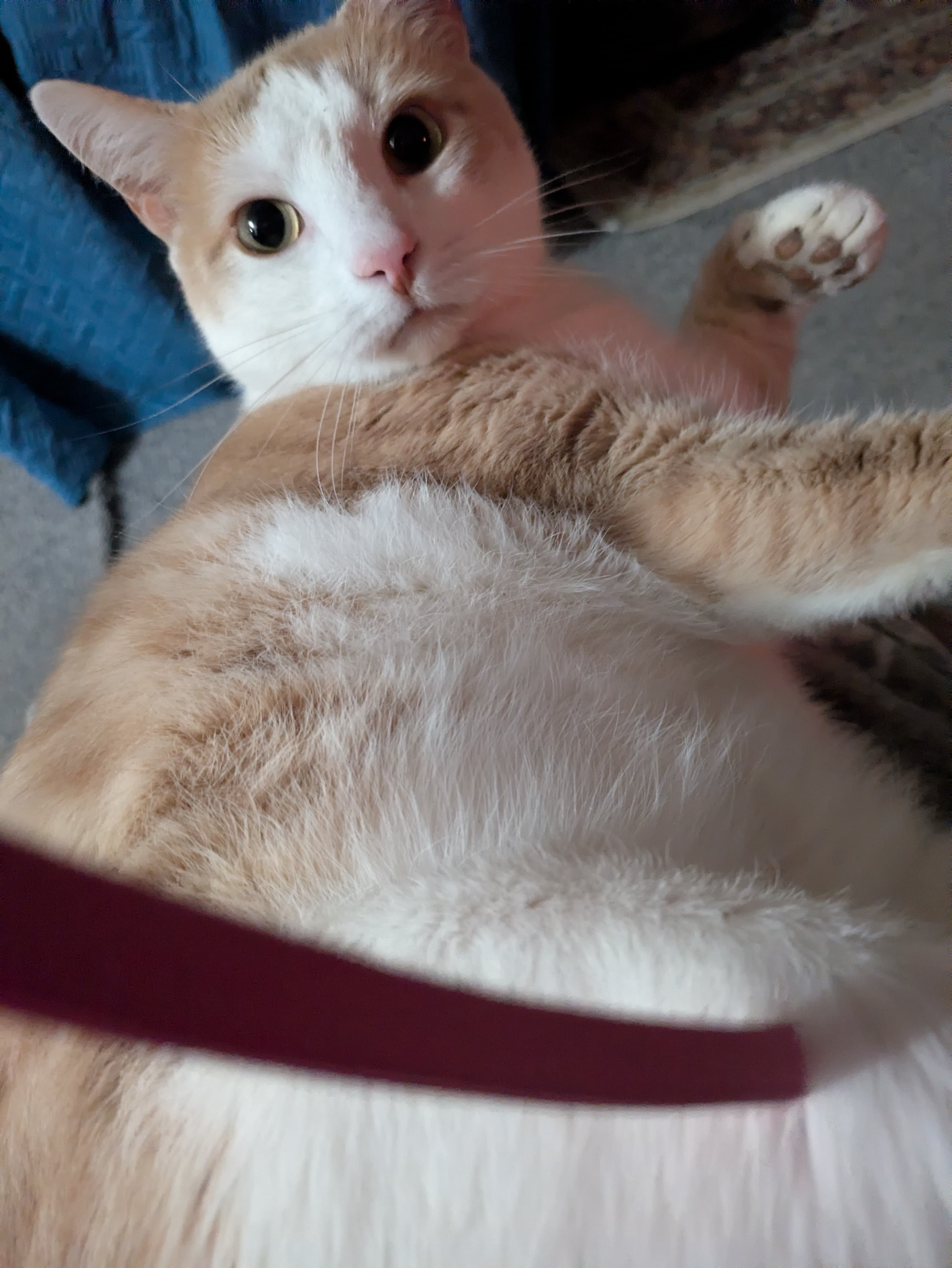 Caramel