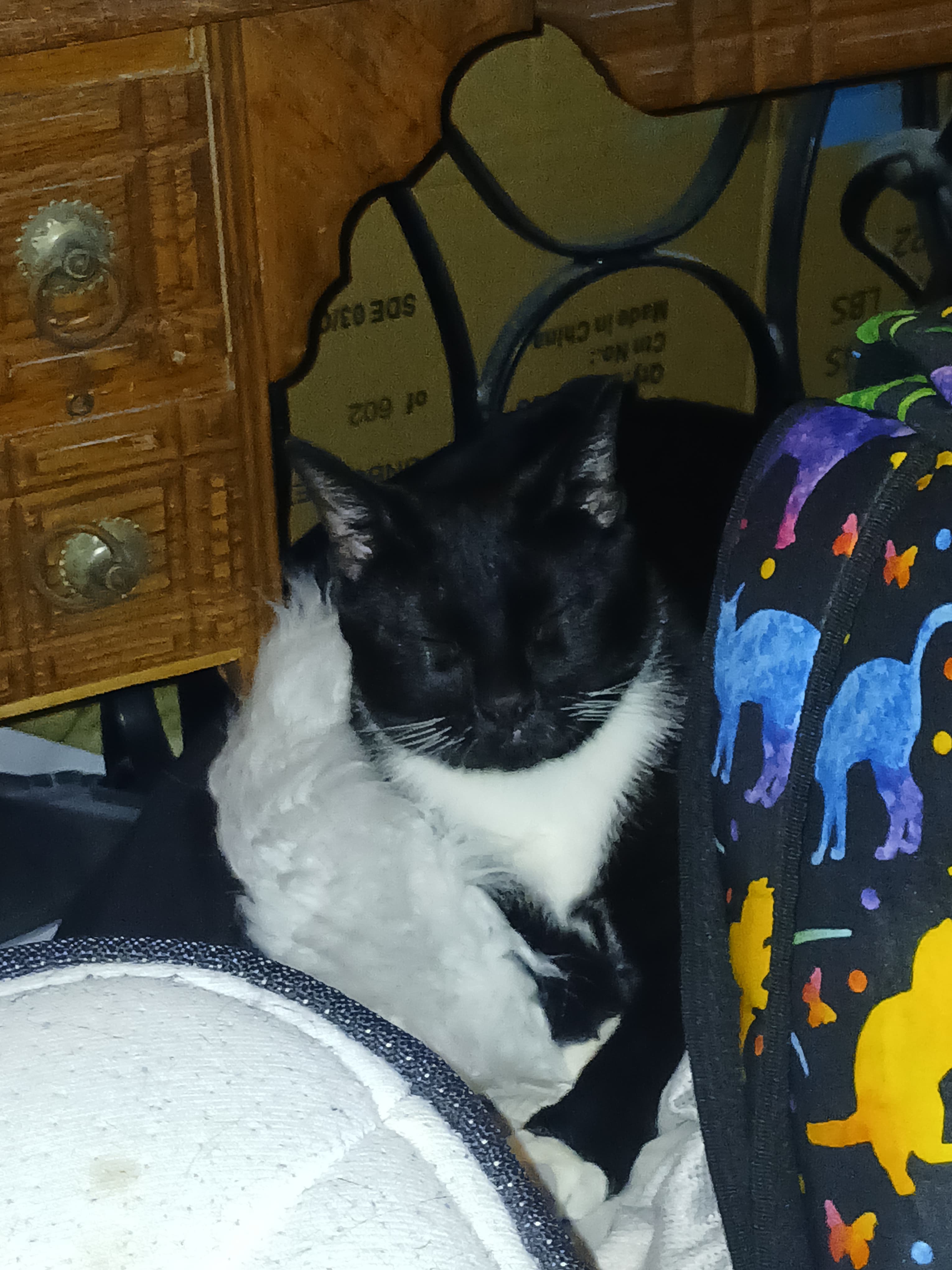 Little man