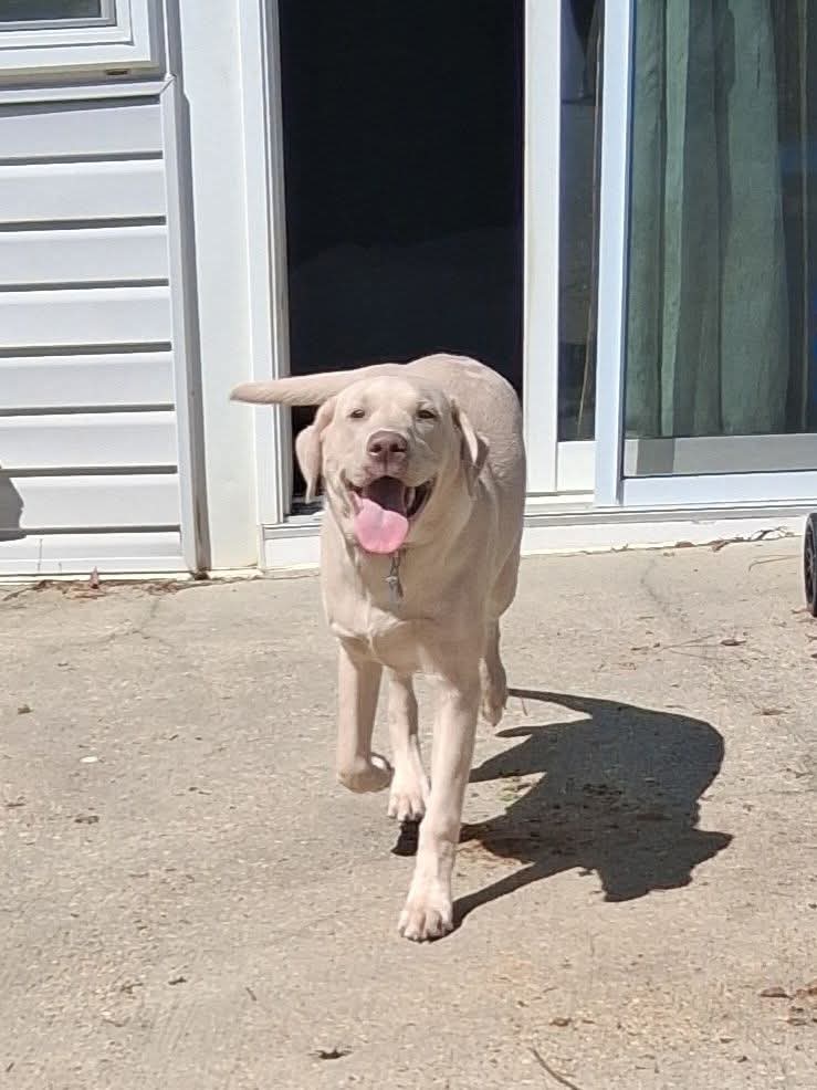 BO
