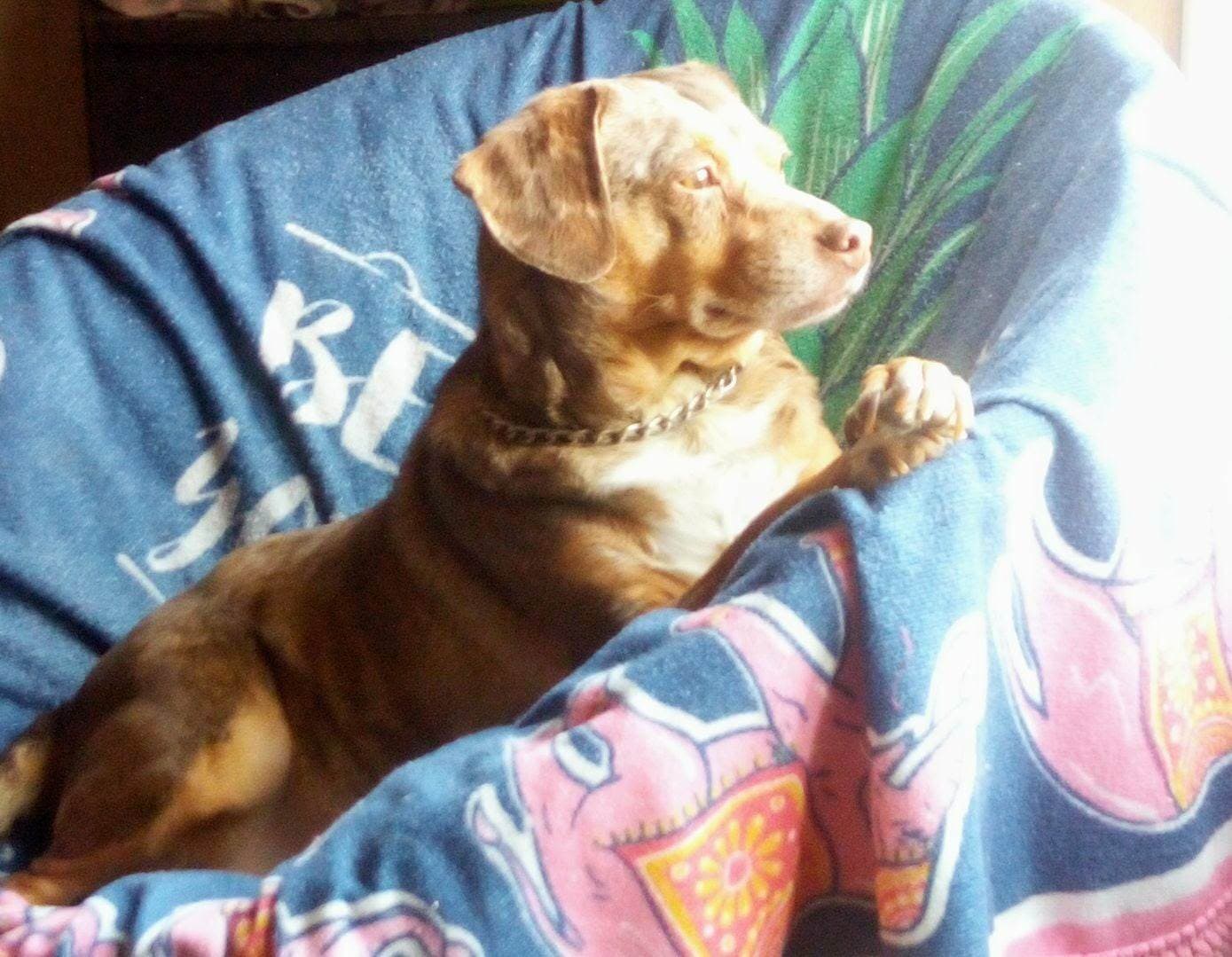 Copper