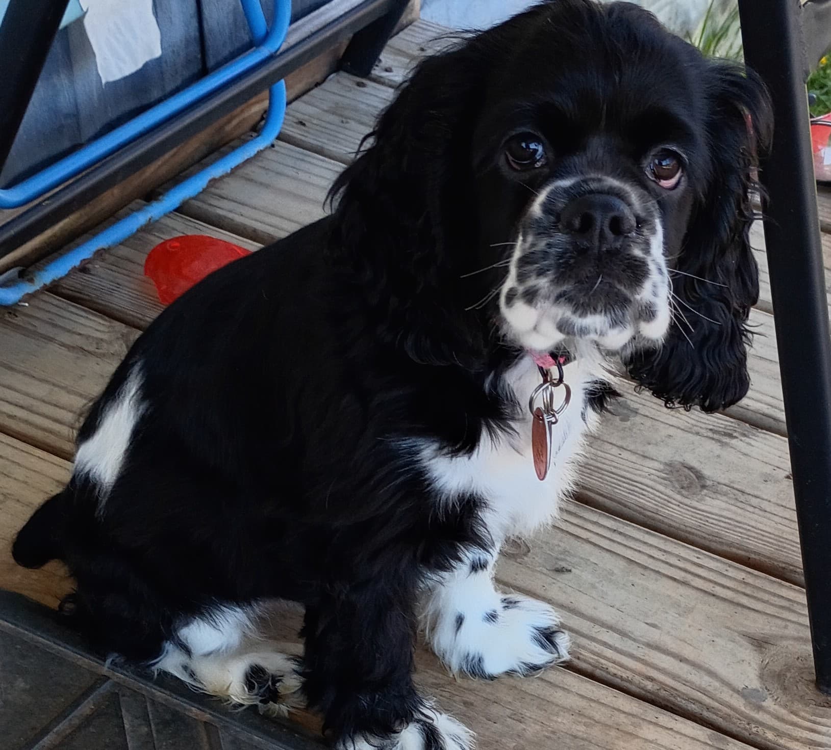 Sophie