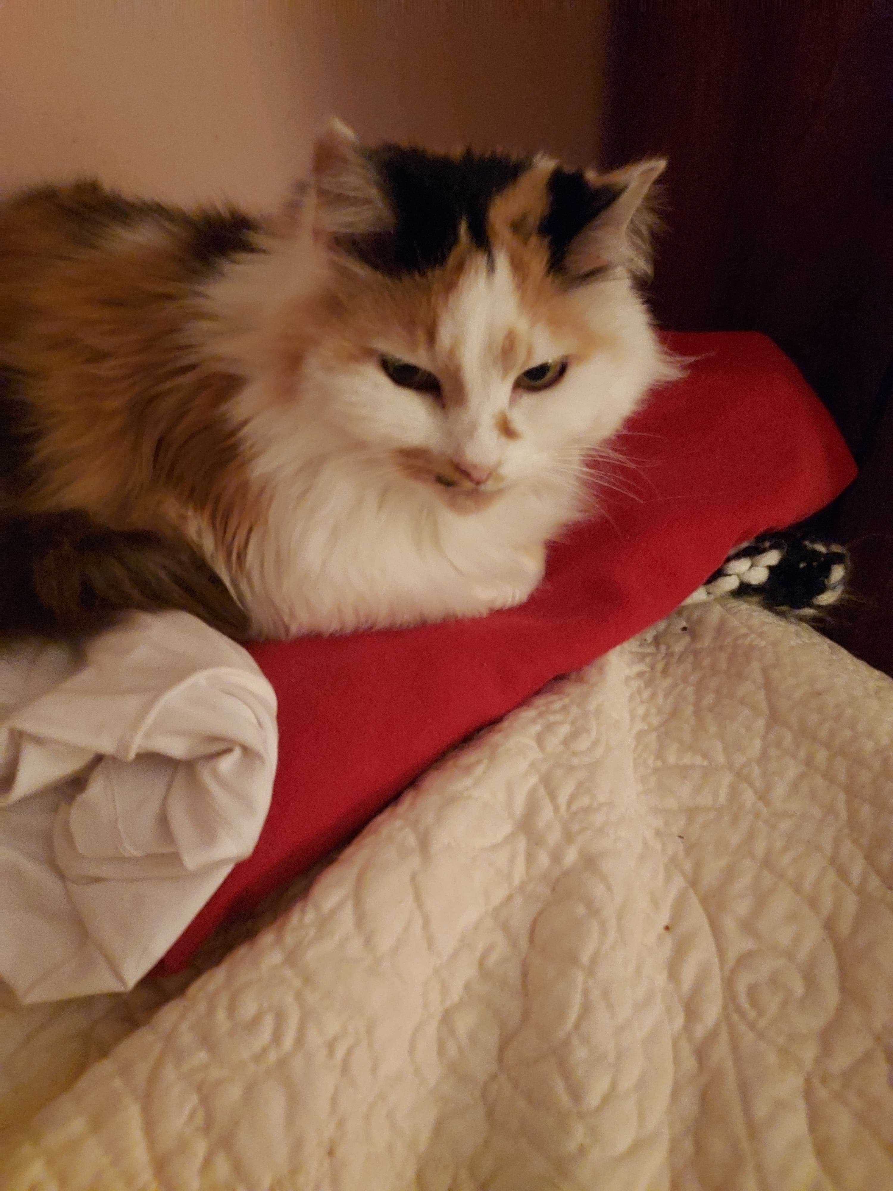 Princess Child