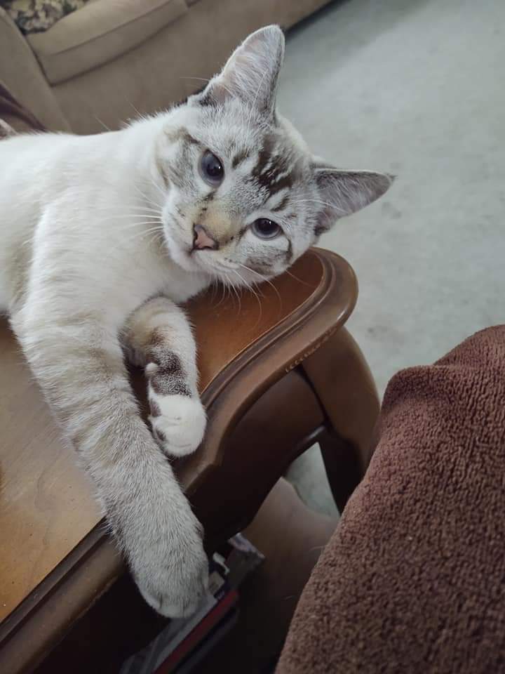 Leo