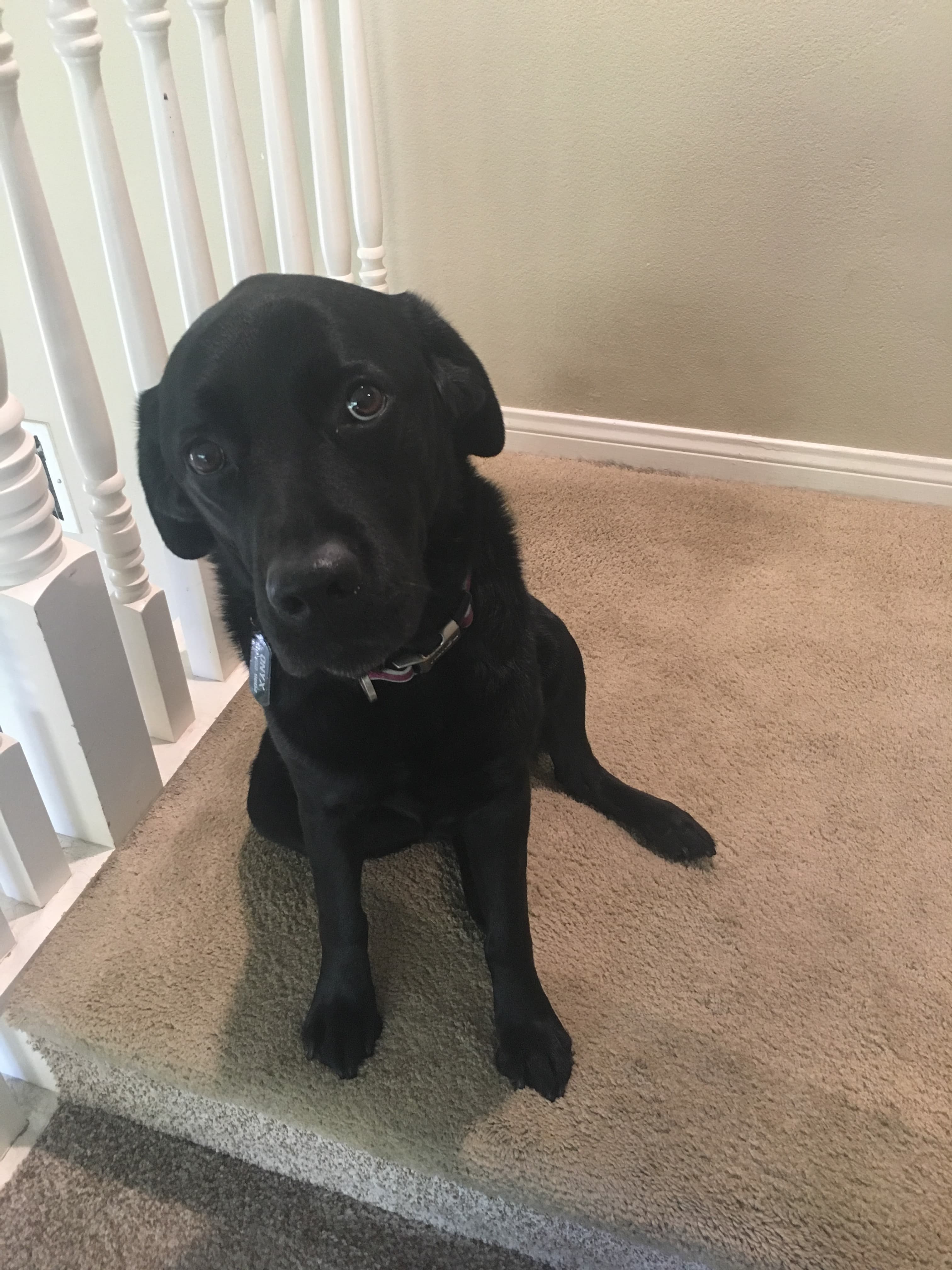 Onyx