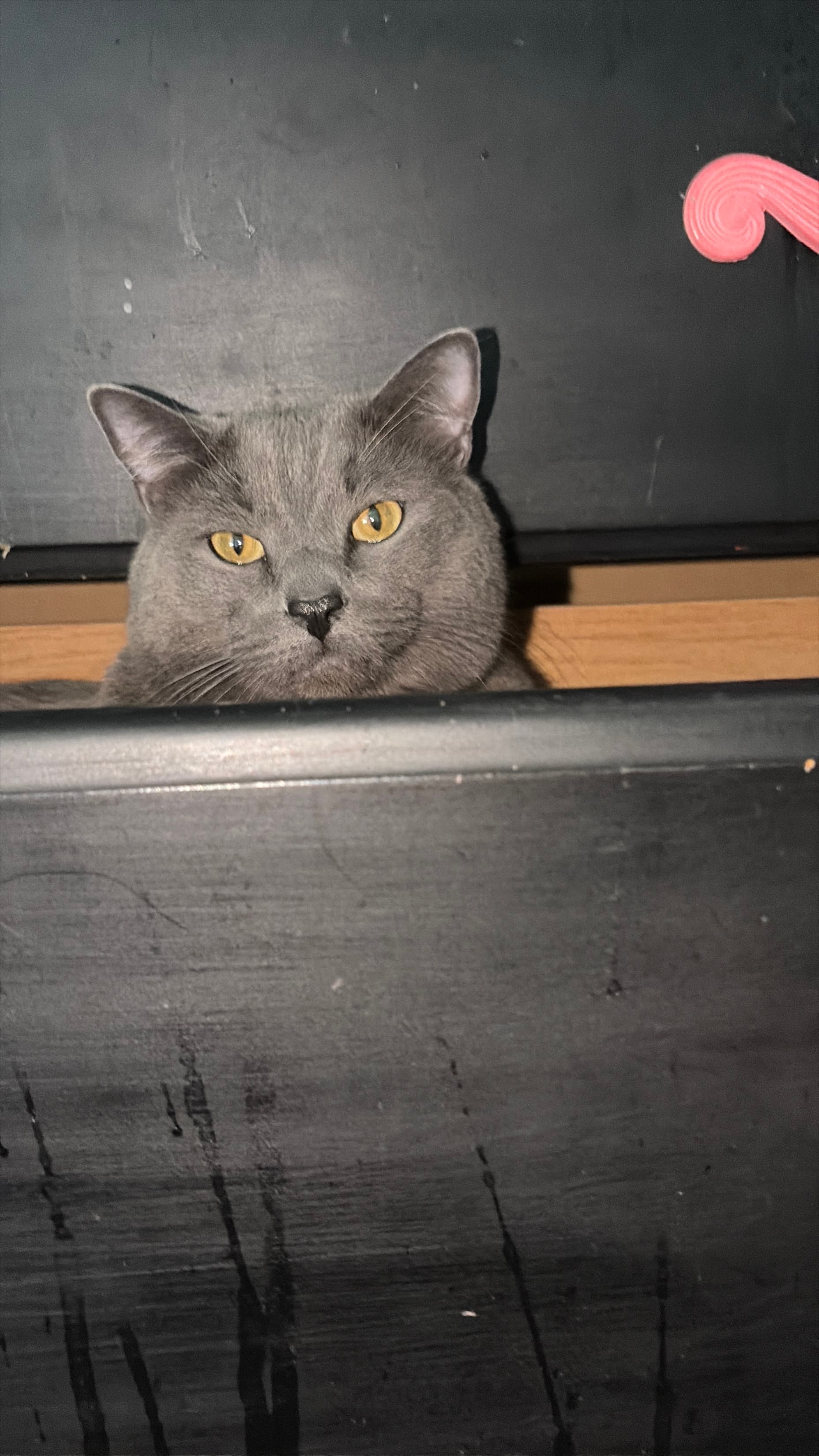 Smokey