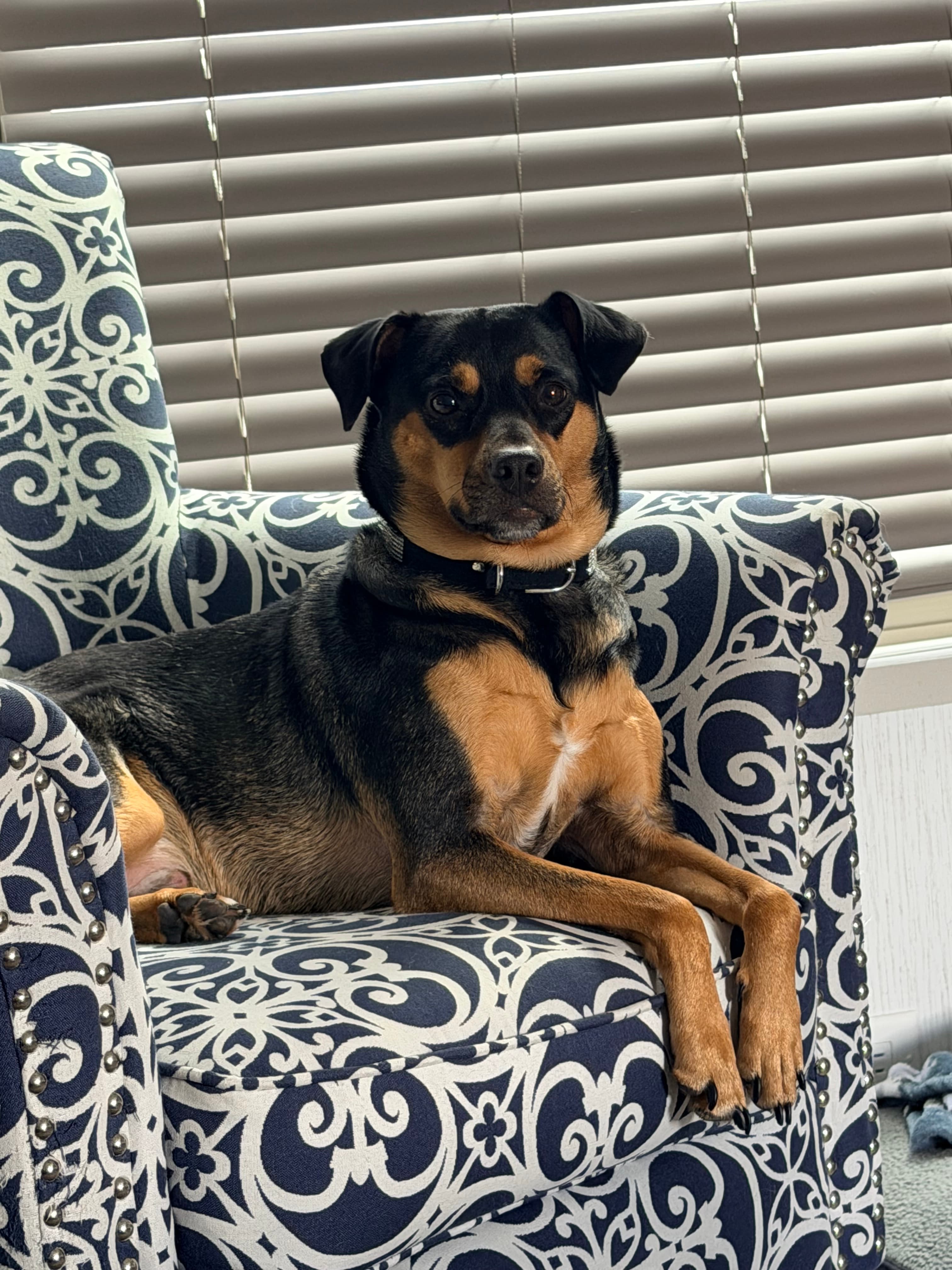 Marley