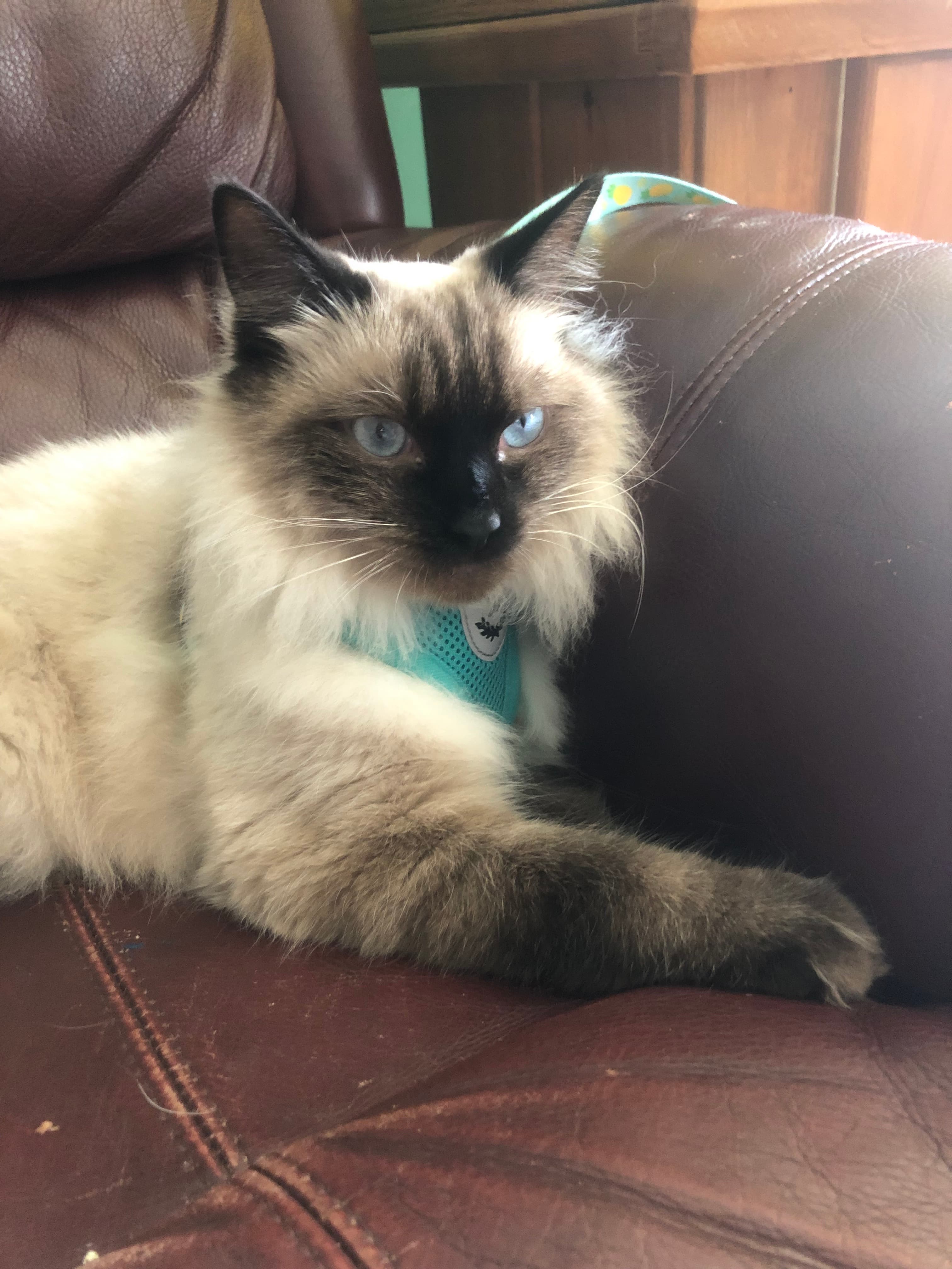 Charlie