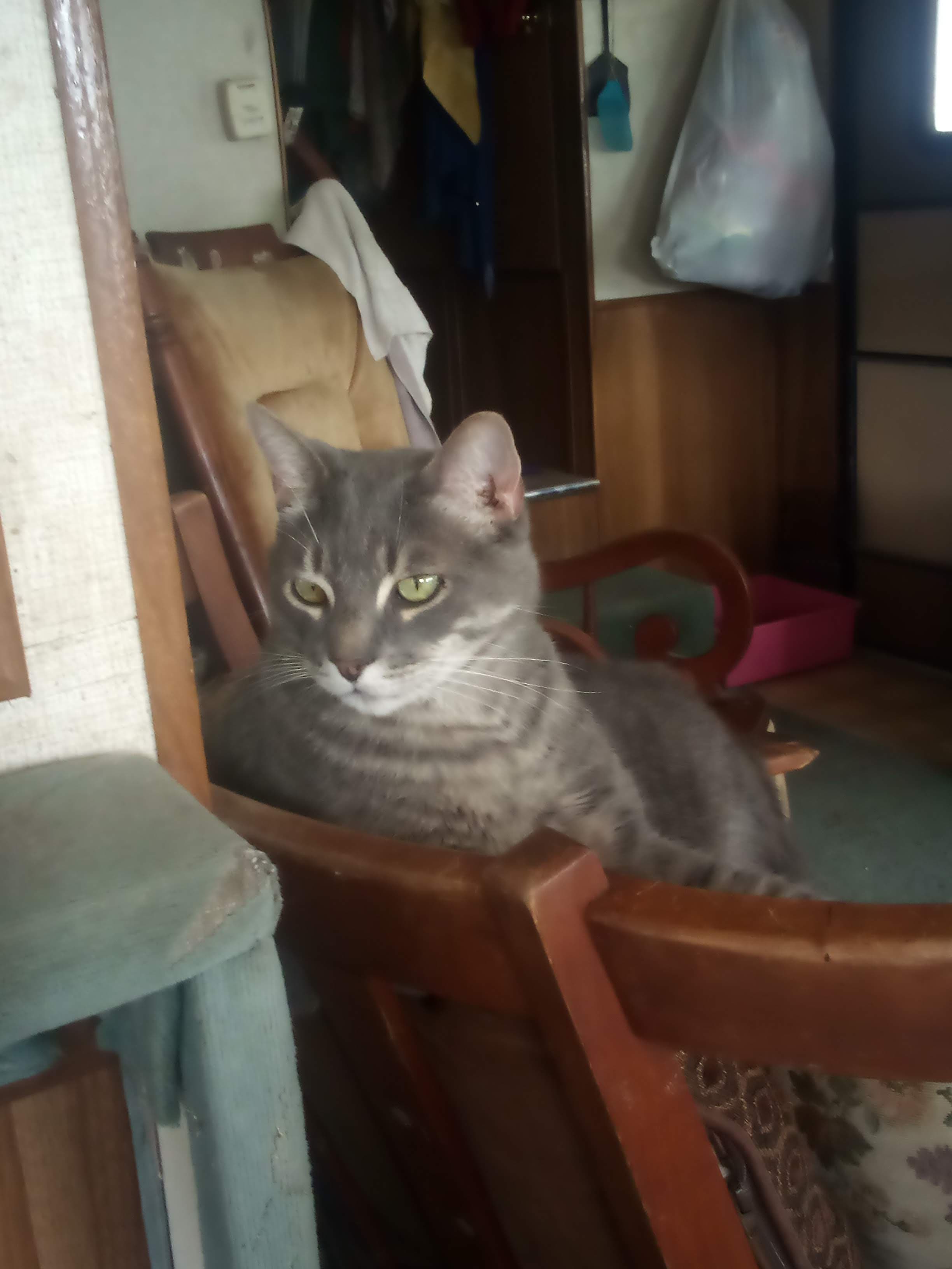 Sammy