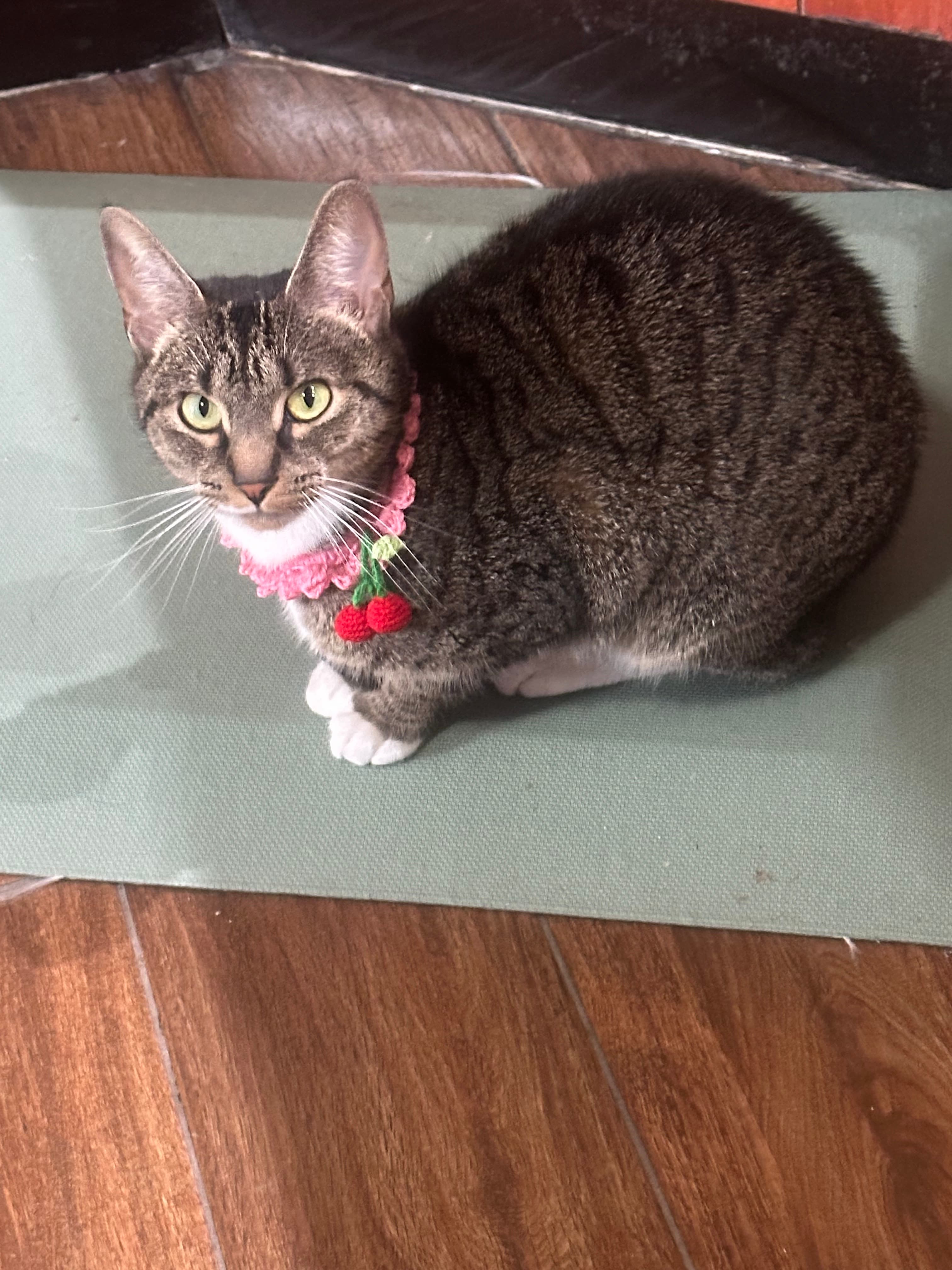 Mia