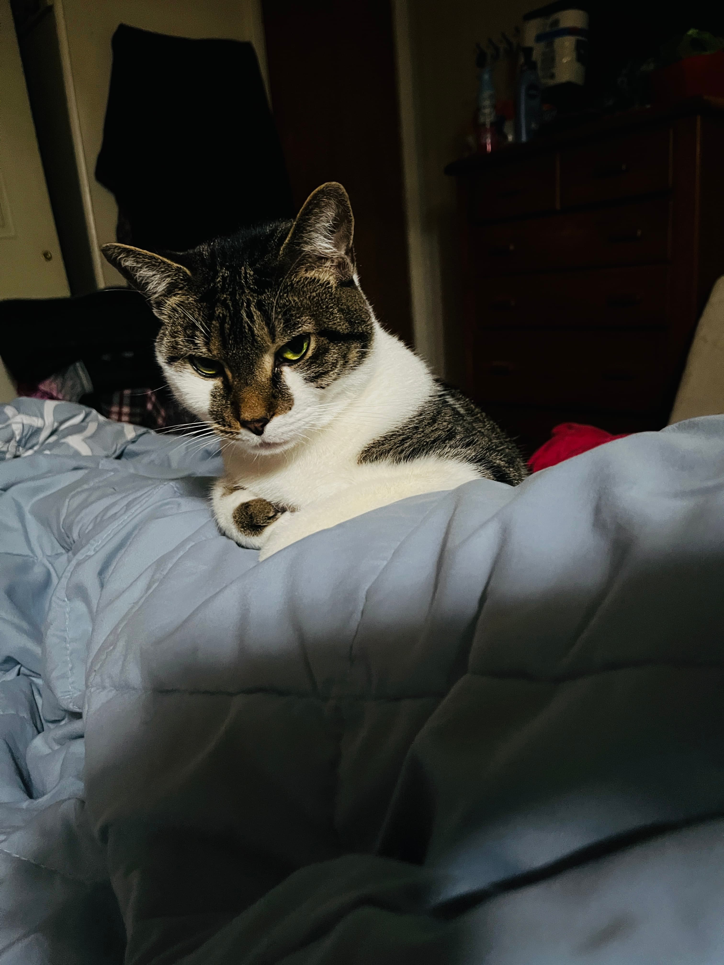 Caramel