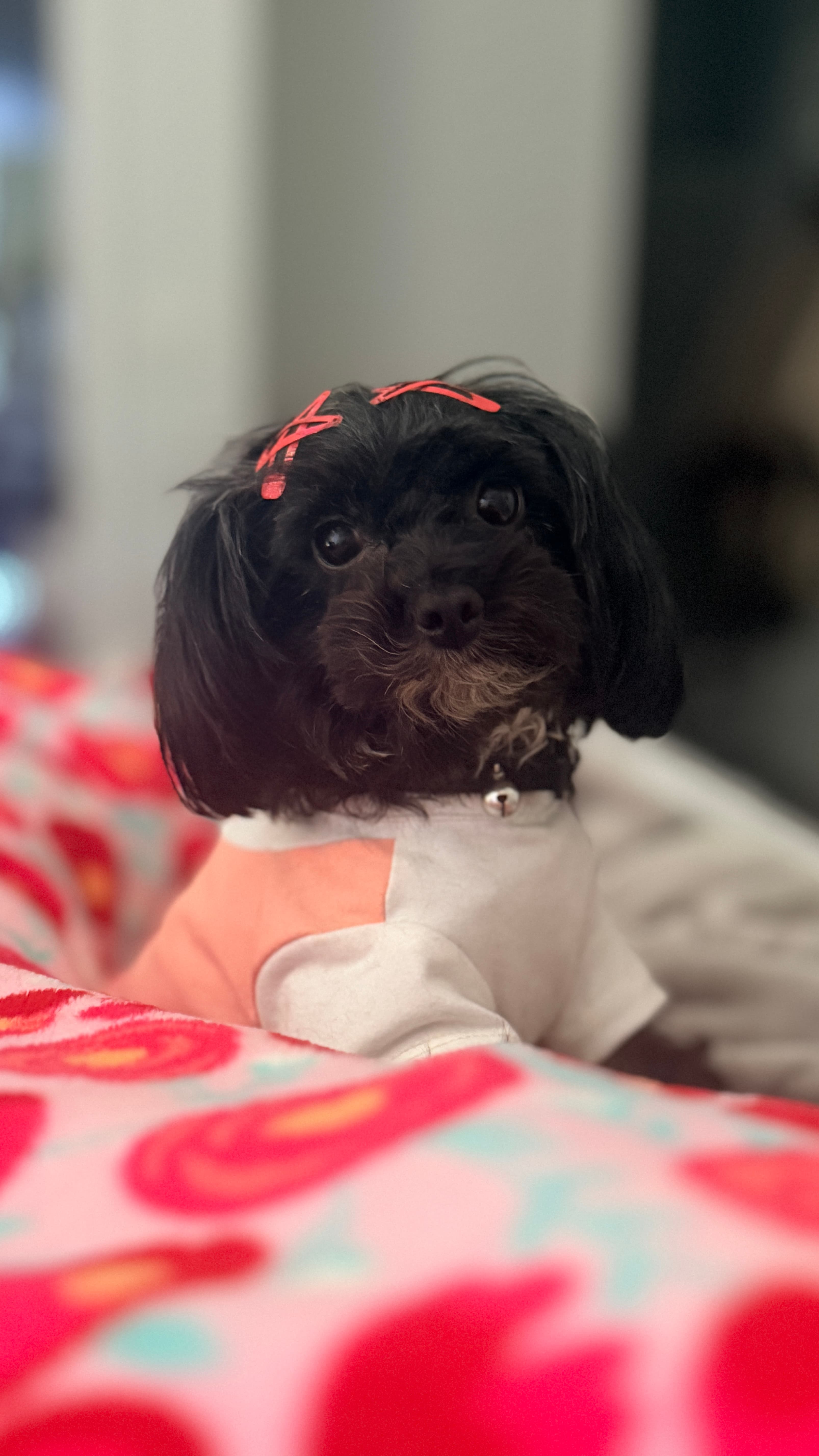 Pepper Faith
