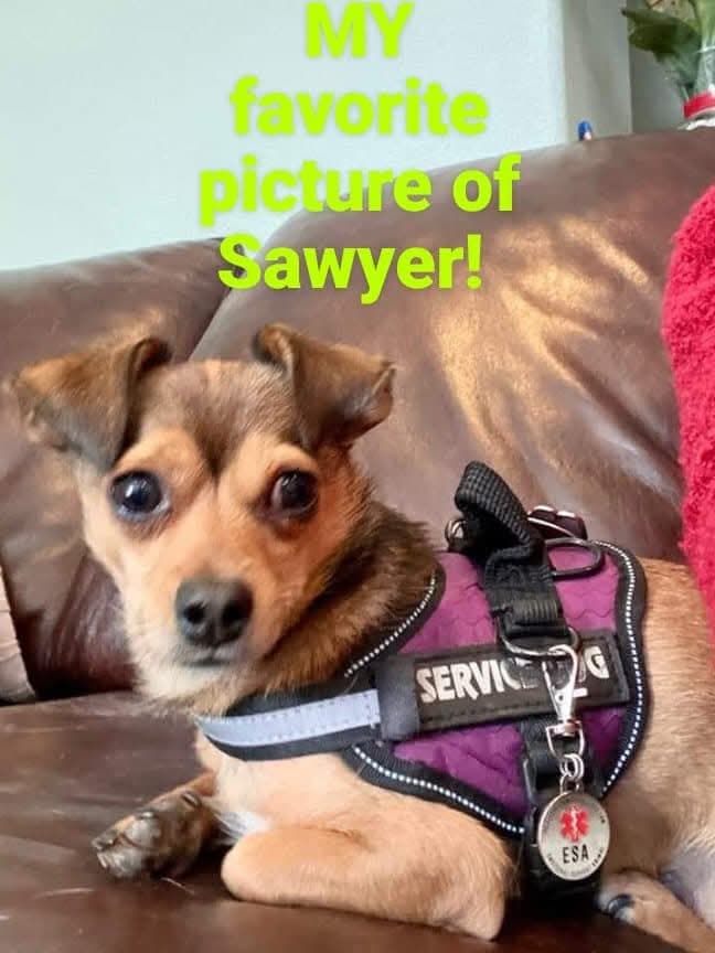 Sawyer