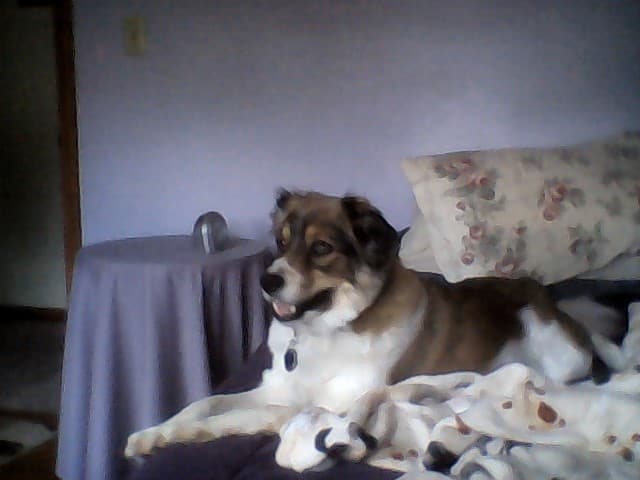 riley