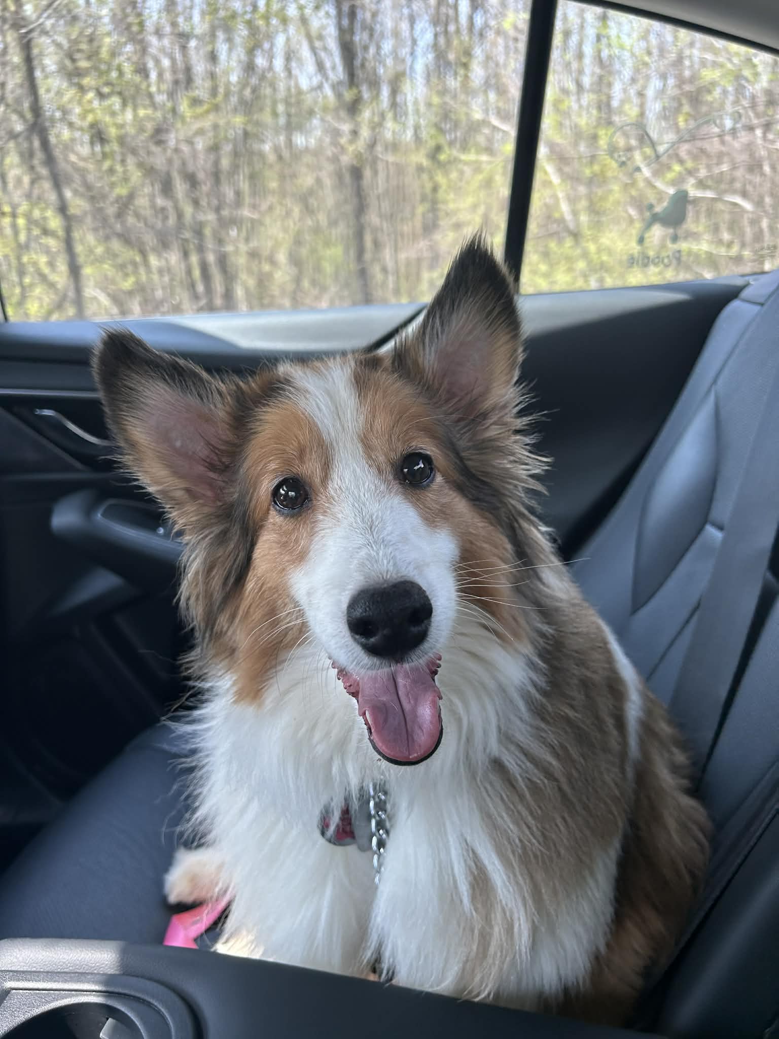 Molly