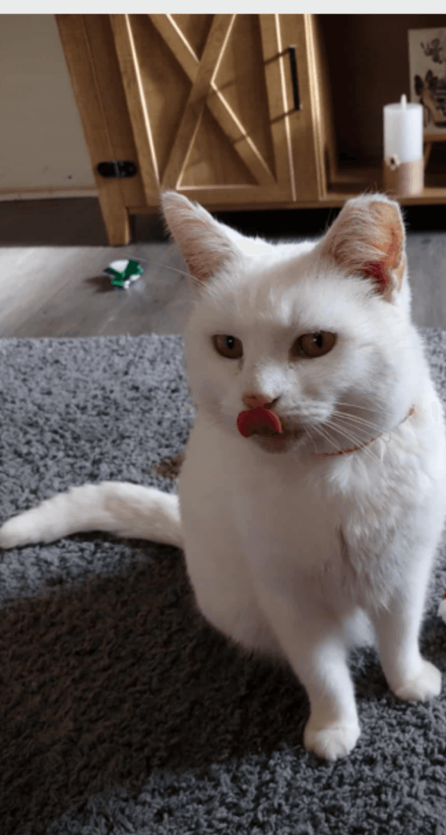 Max