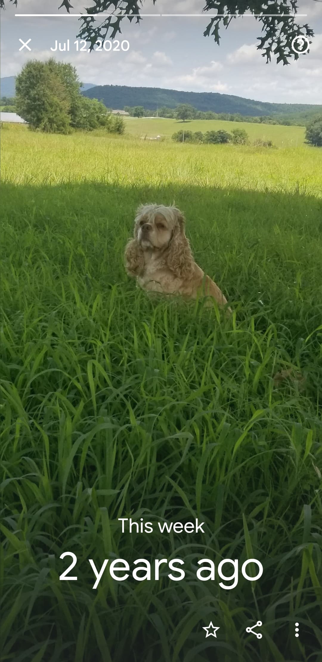 Precious