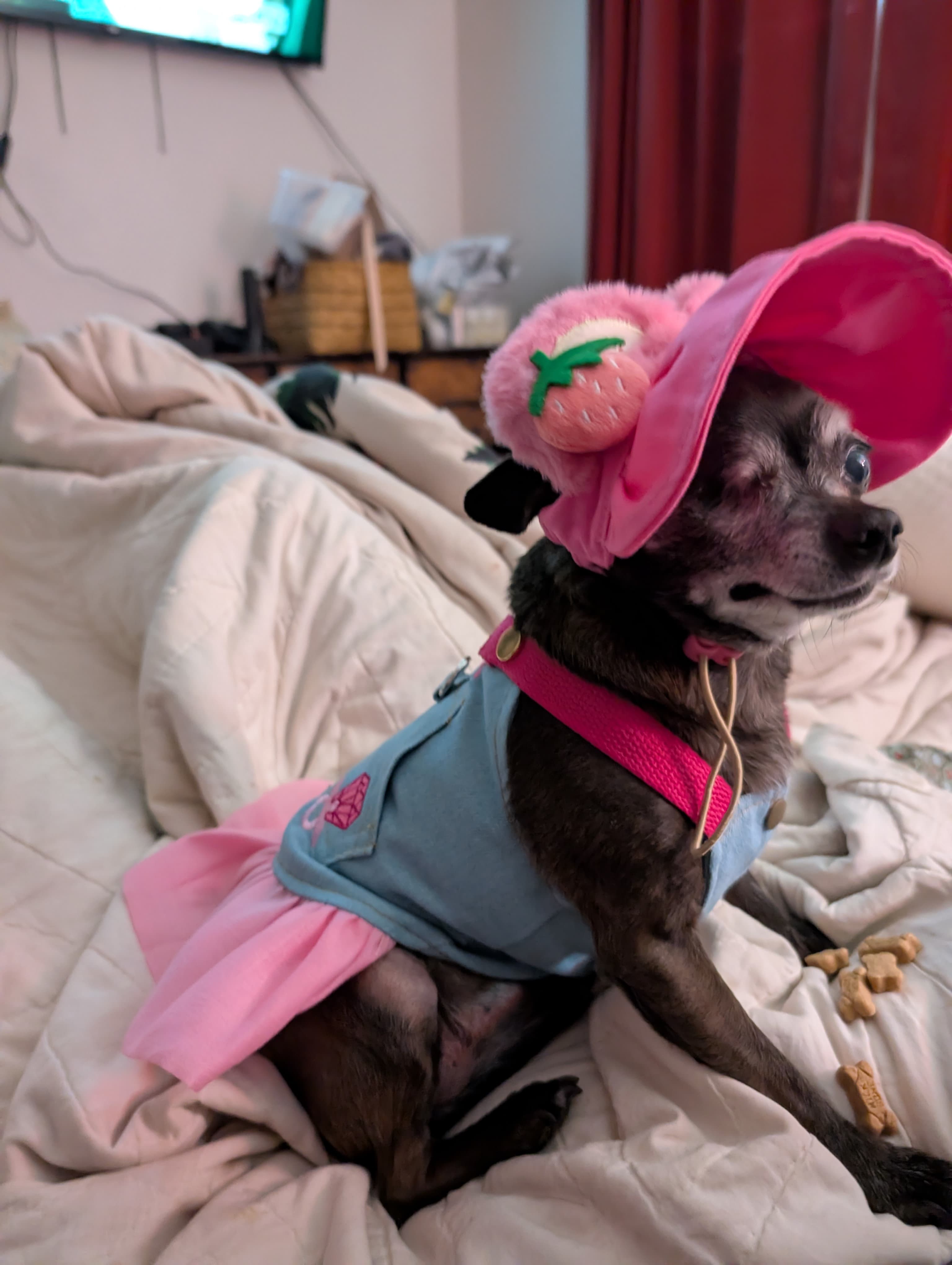 Princess