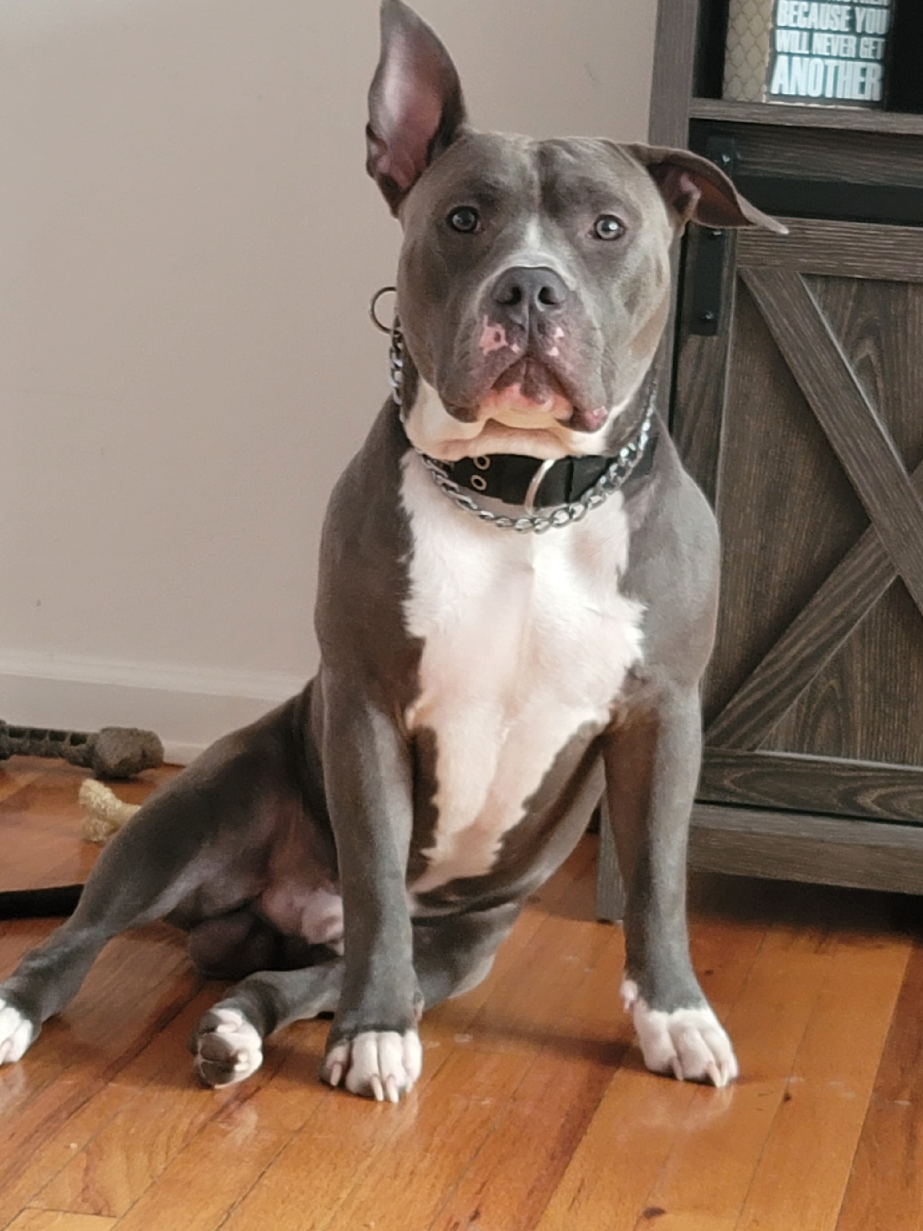 Zeus
