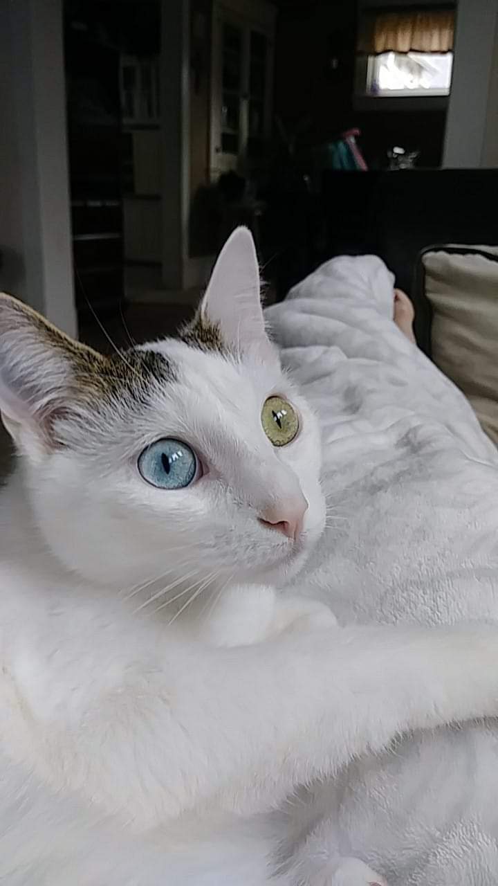 Asia