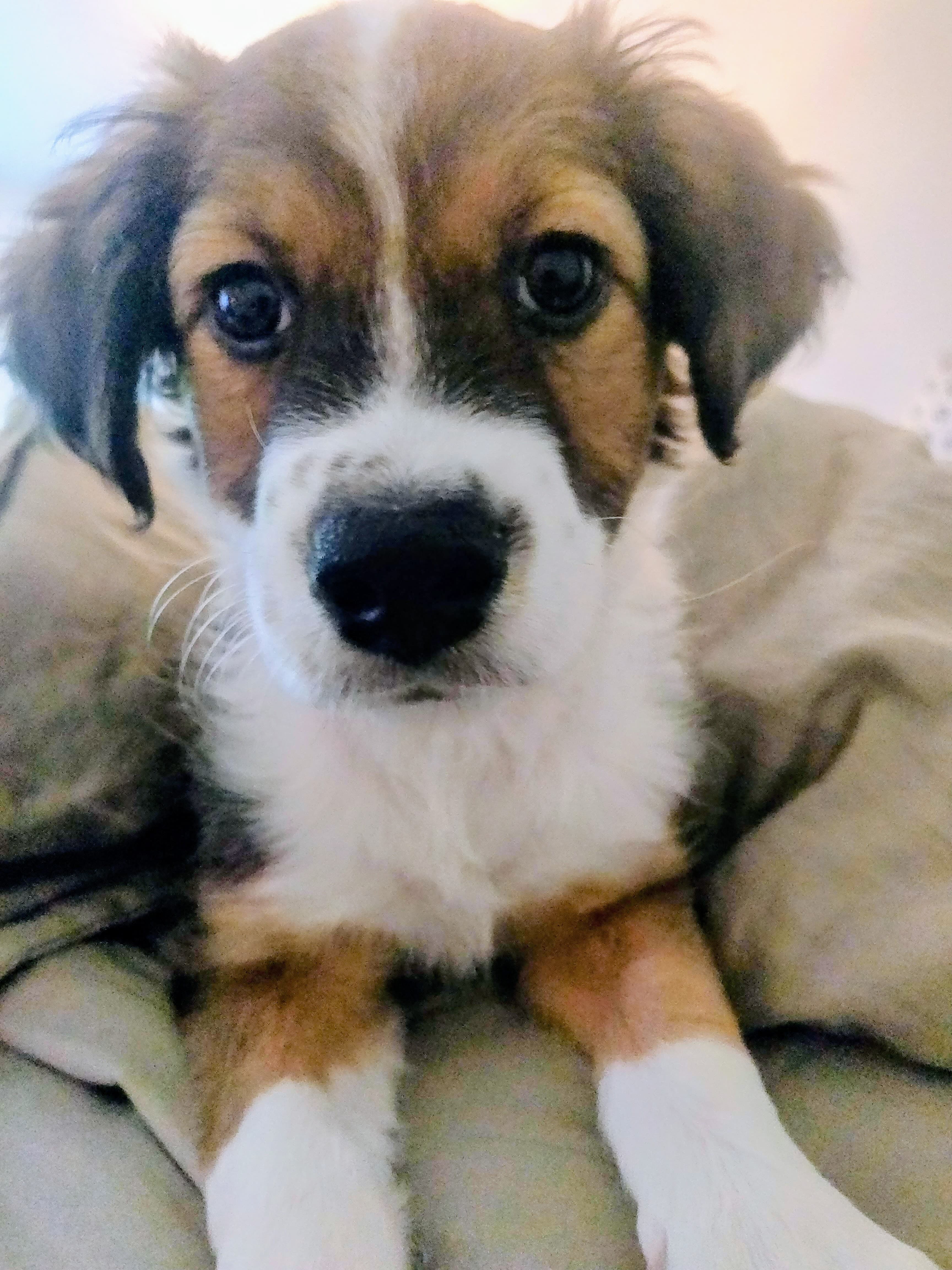 Parker